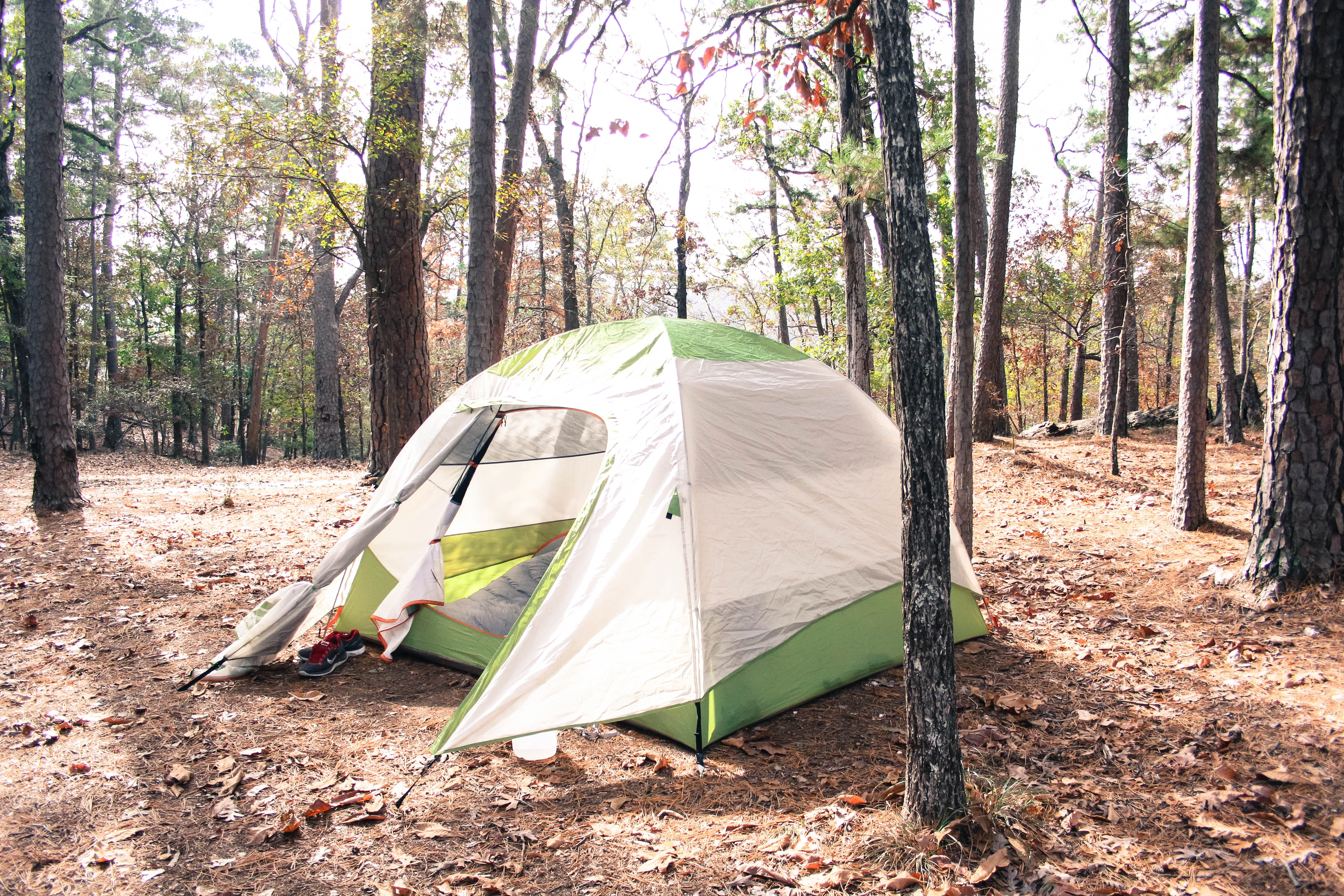 Camp at Reasoner Point