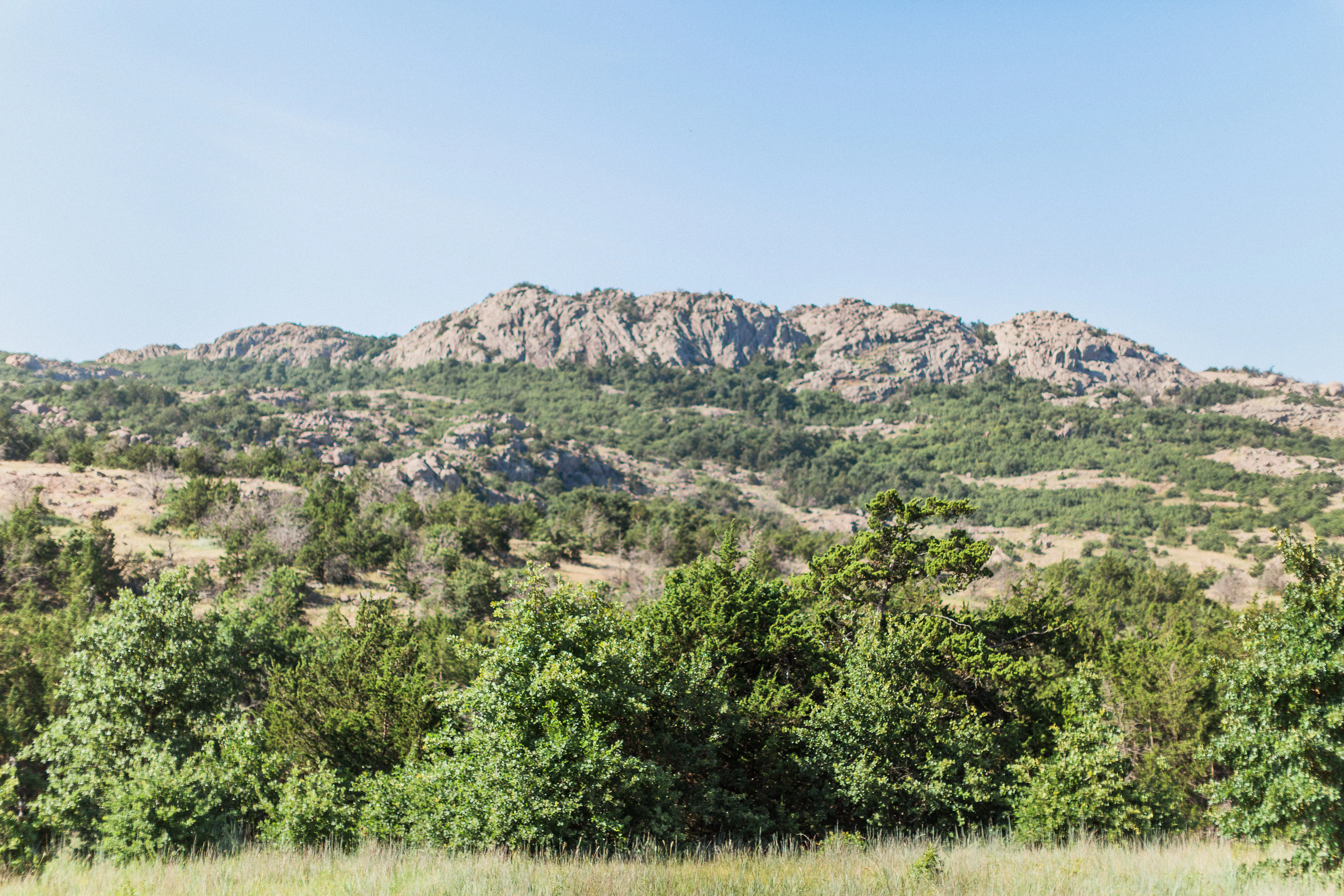 Elk Mountain
