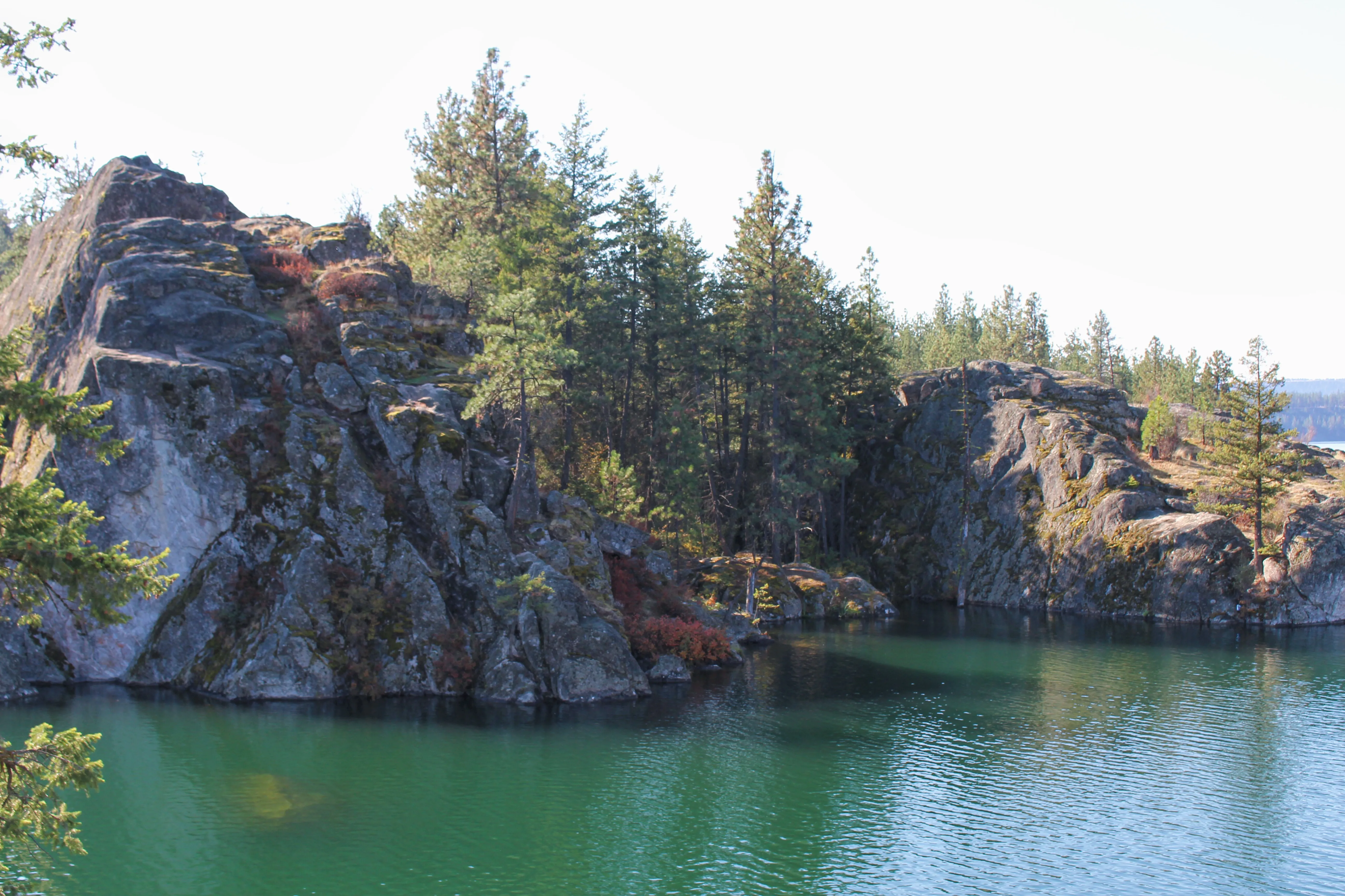 The Cove