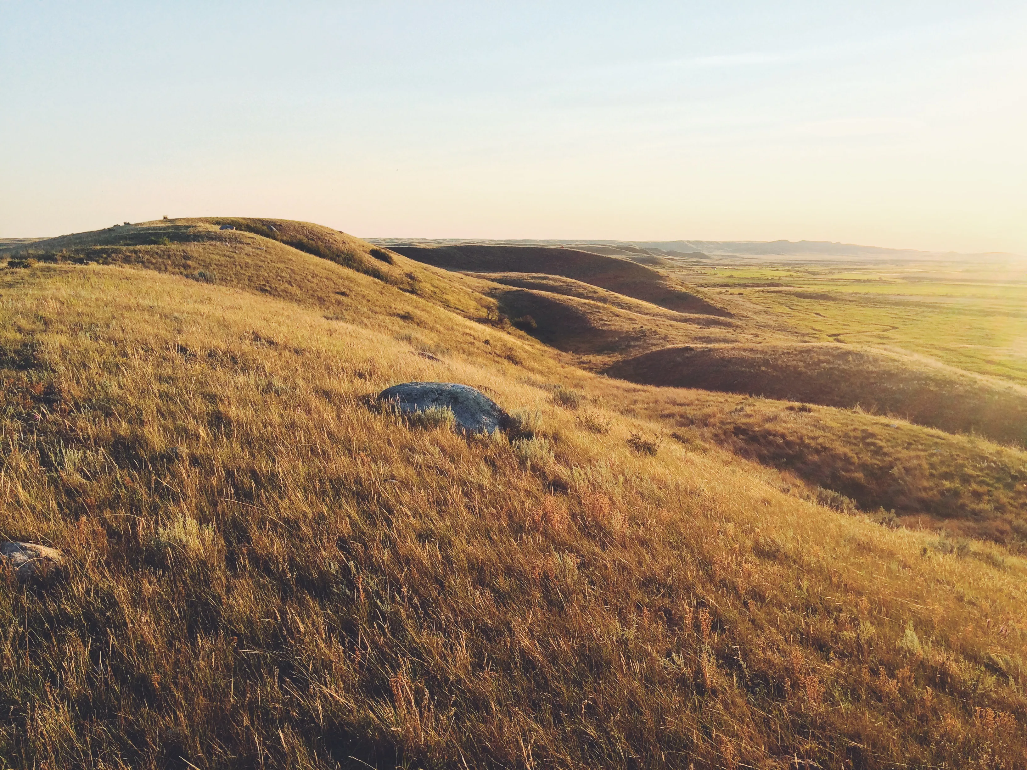 Drive the Eco-Tour Road in Grasslands National Park
