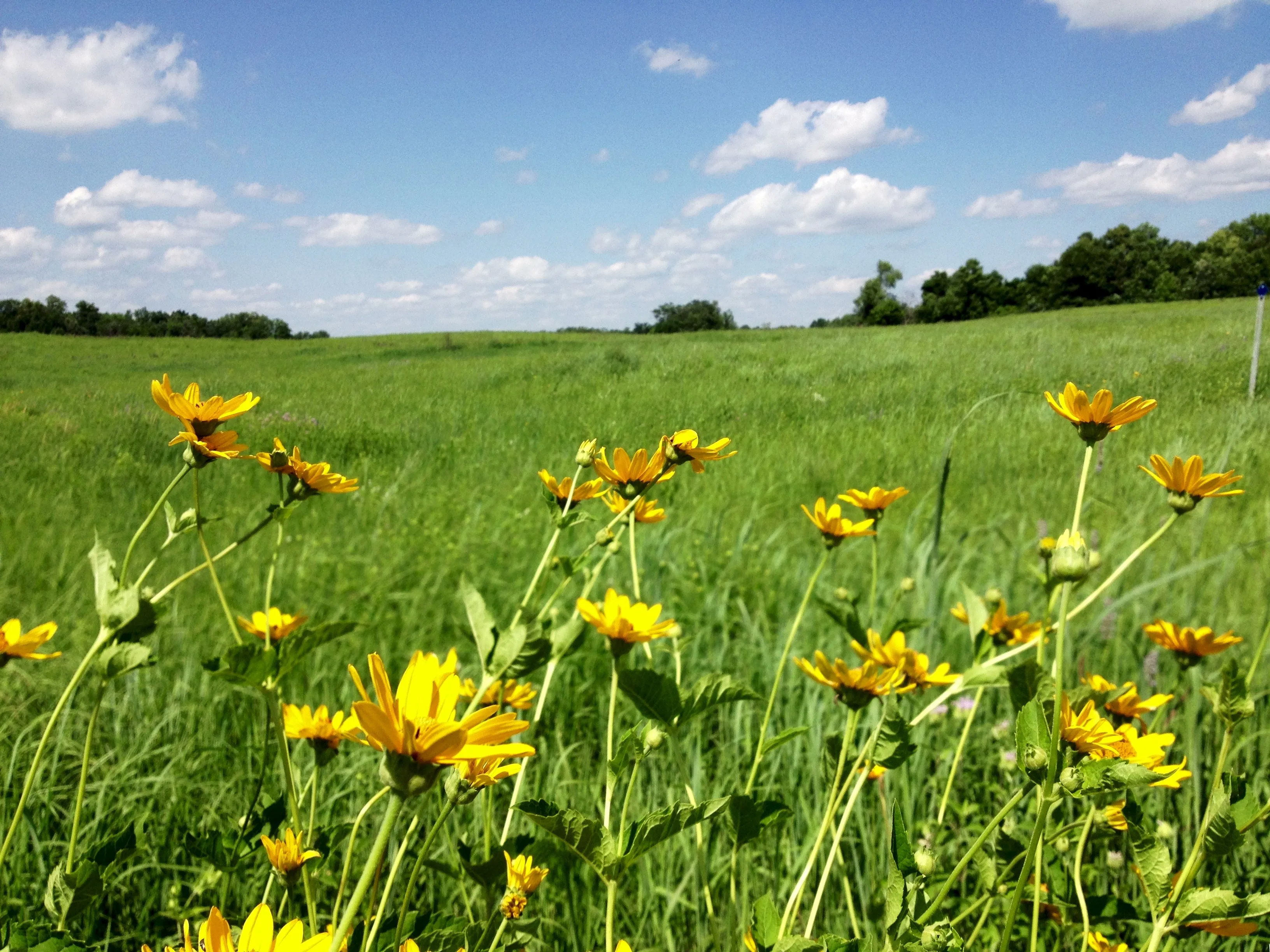 Hike the Crow-Hassan Regional Park Loop