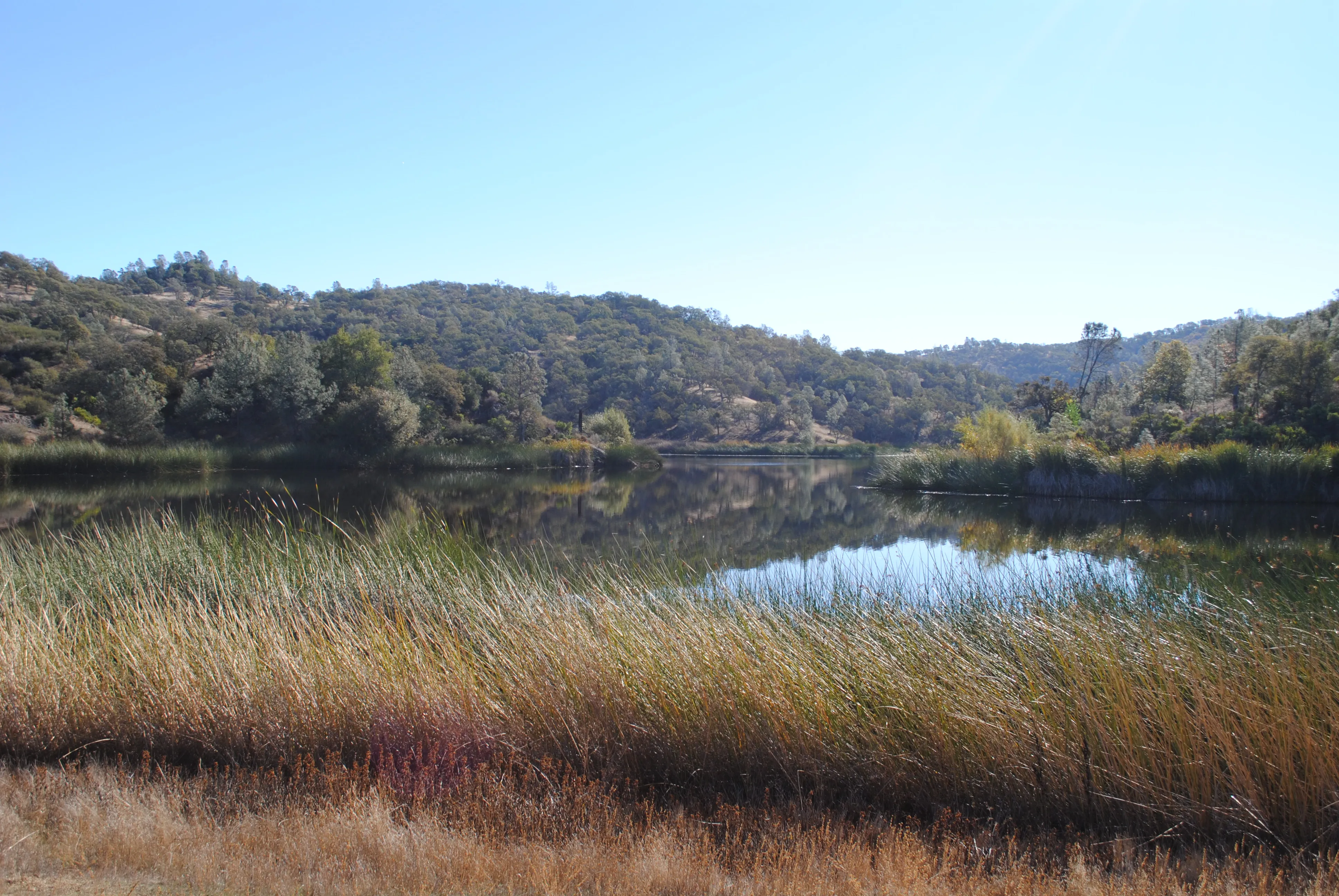 Backpack to Coit Lake