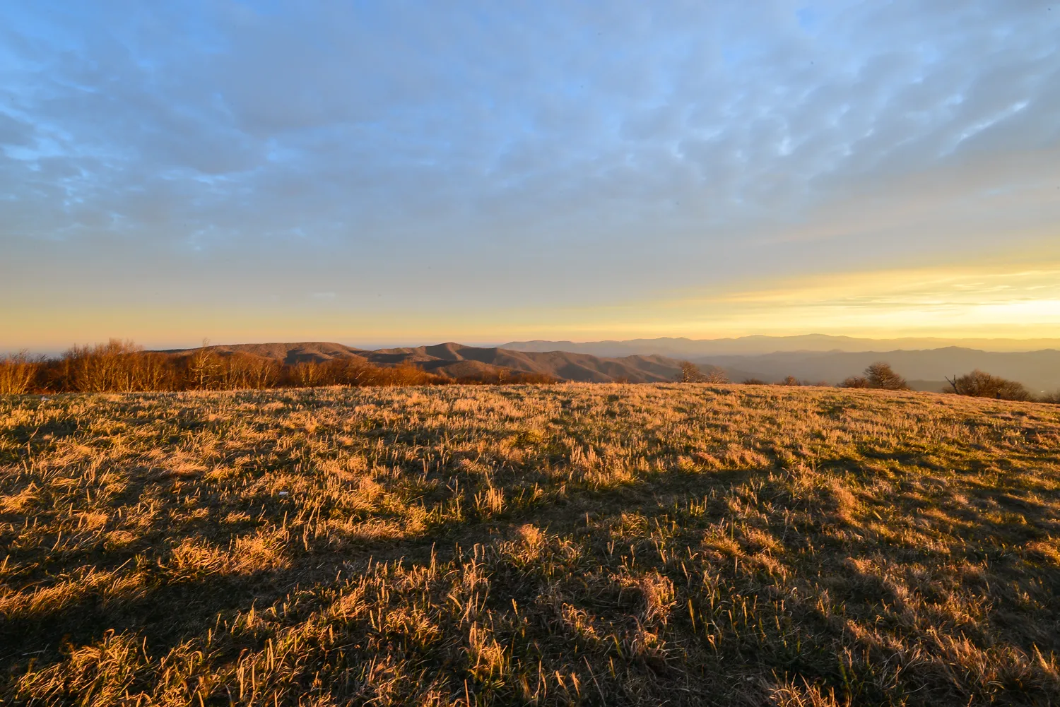 Huckleberry Knob