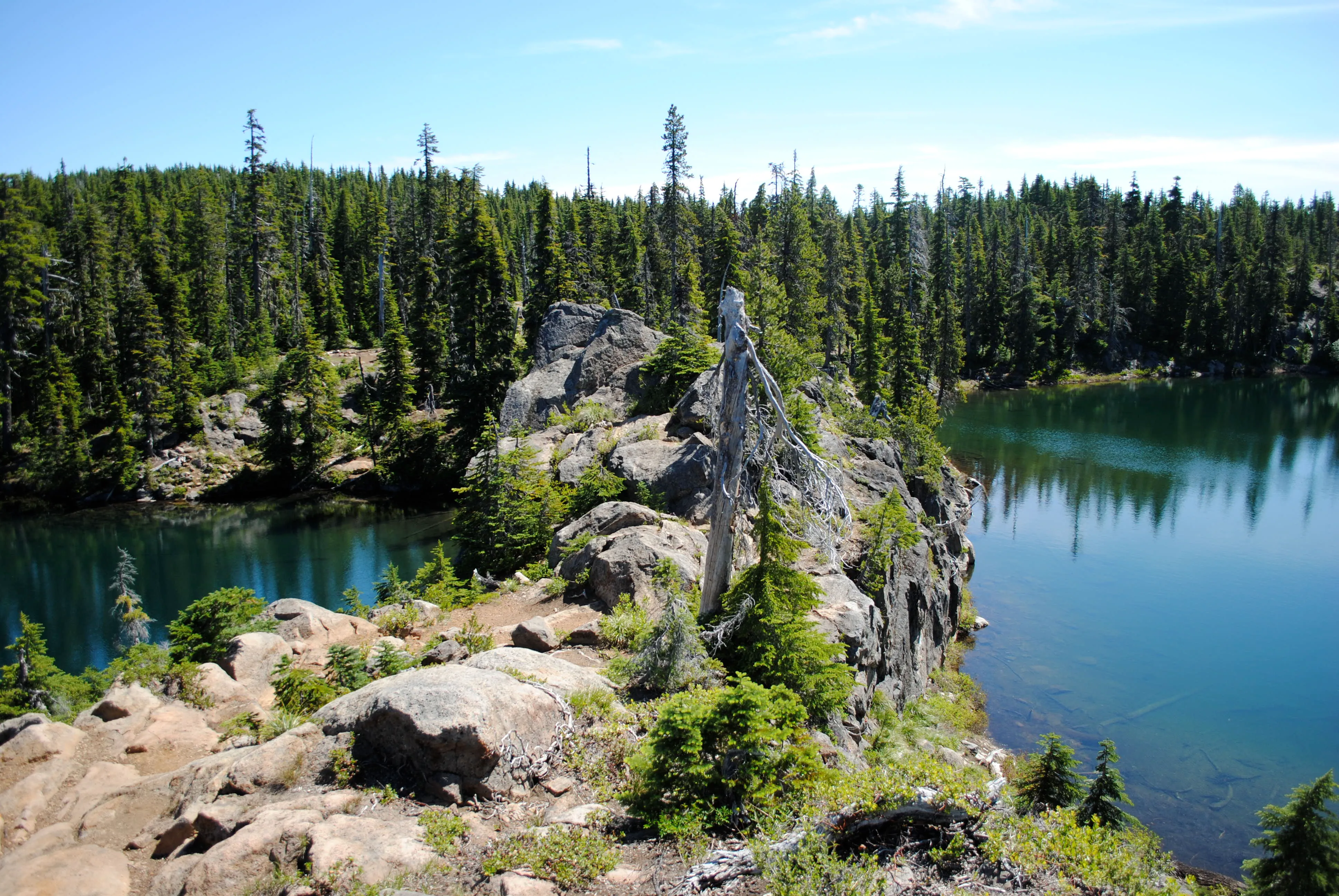 Tenas Lakes via Benson Lake Trail