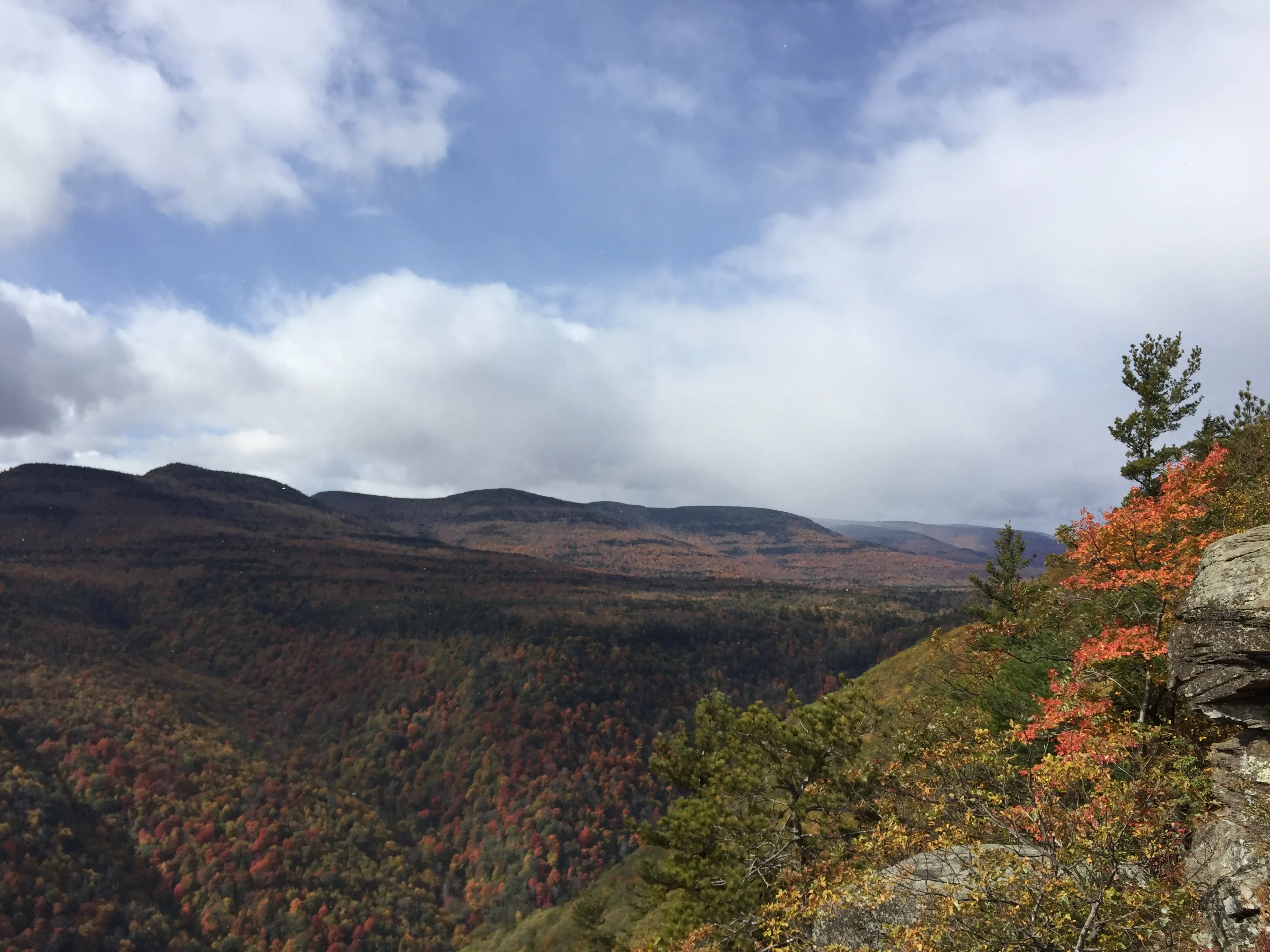 Hike to Huckleberry Point