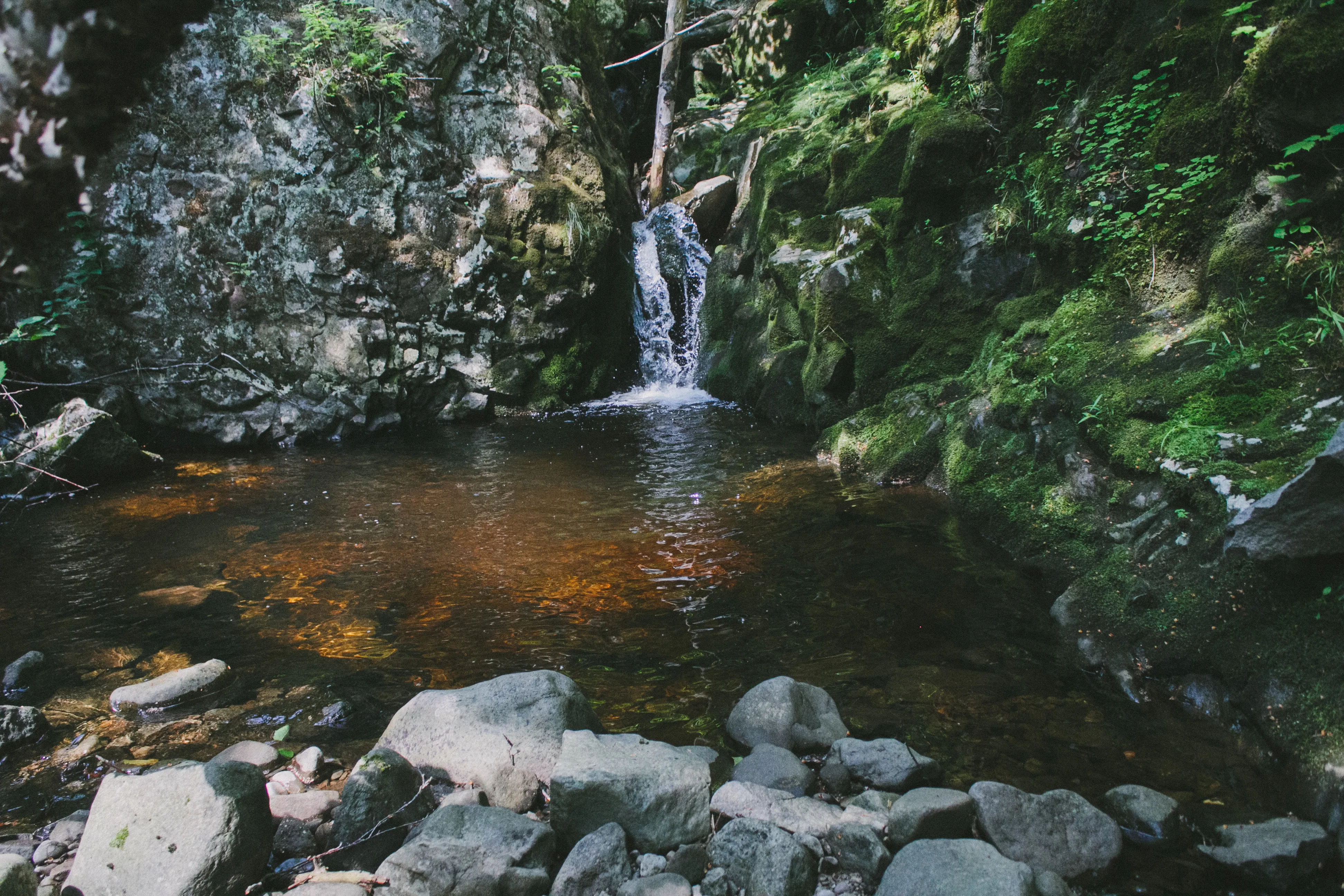 Hike to Haunted Falls & Black Hole Falls