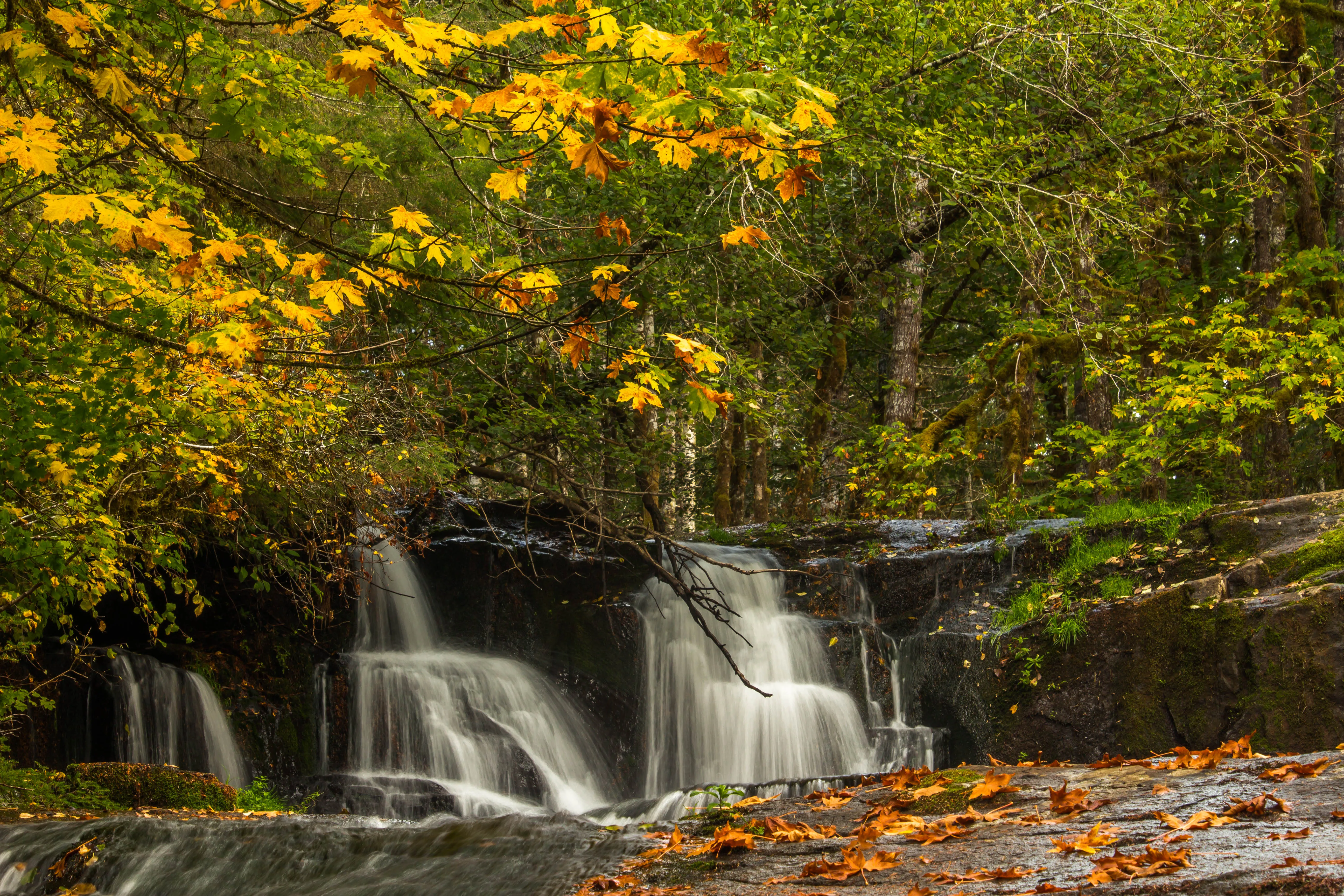 Alsea Falls and Green Peak Falls