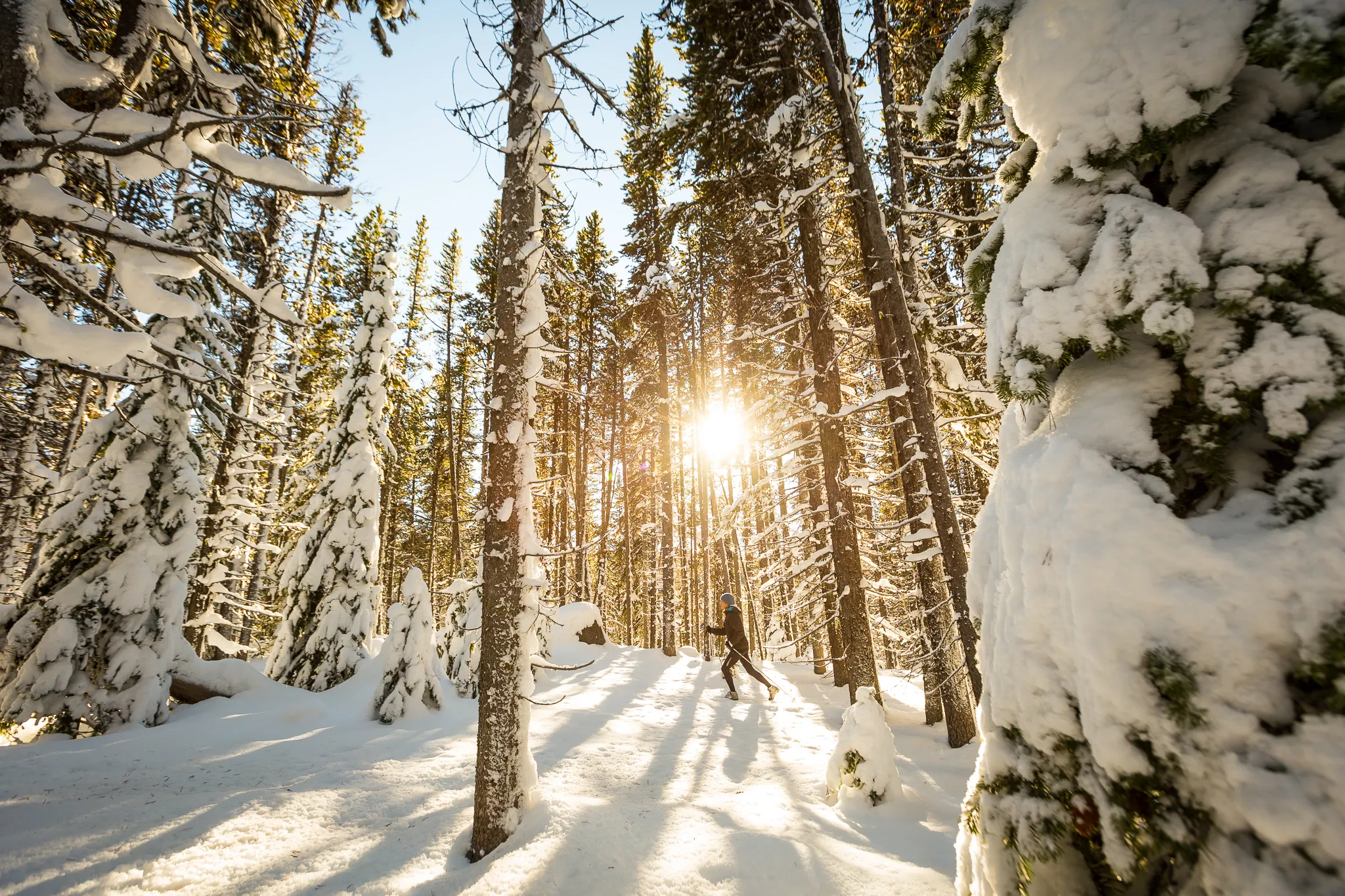 Cross-Country Ski to HI-Mount Cavell Hostel