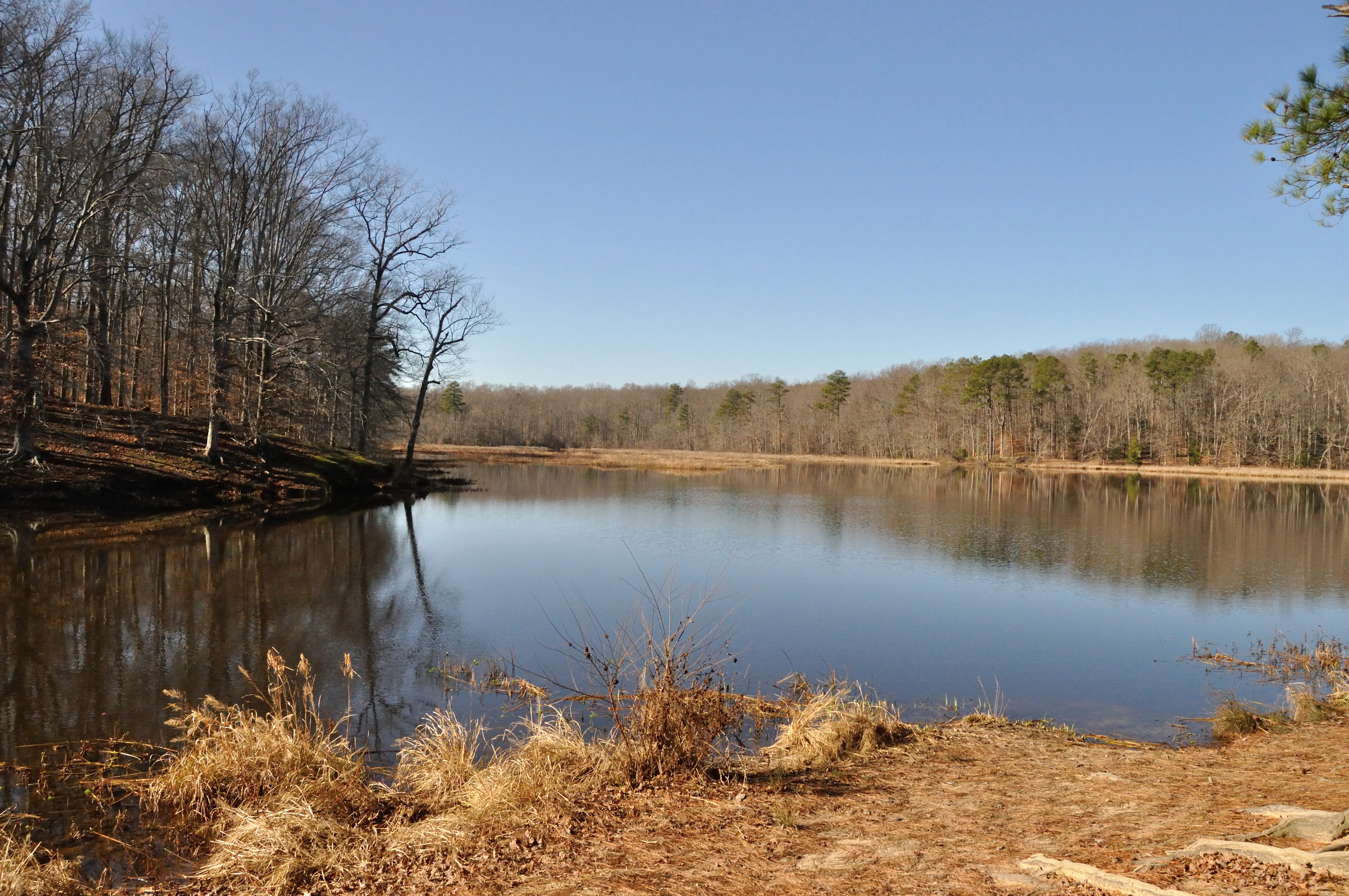 Walk around Beaver Lake, Pocahontas SP