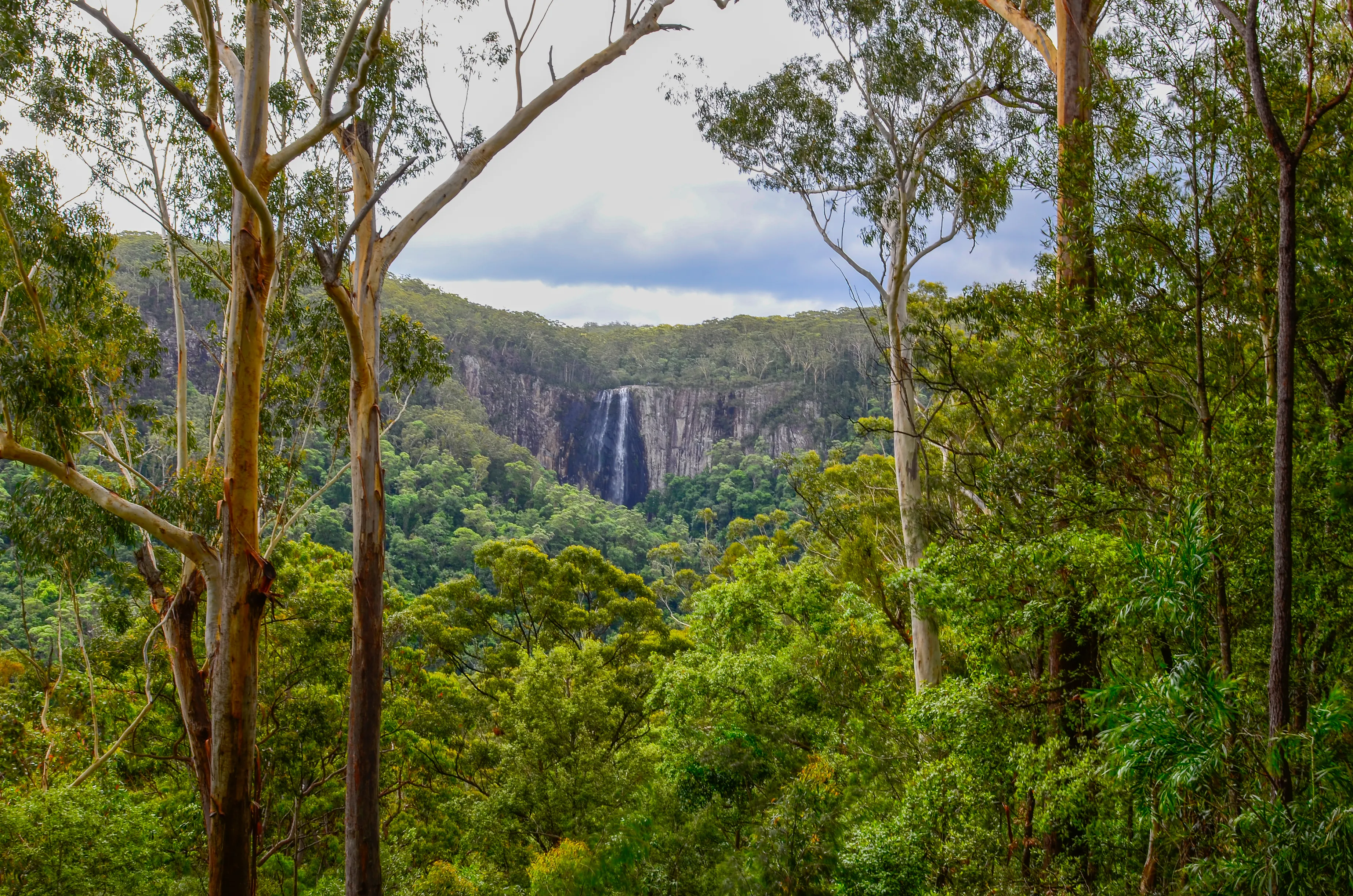 Hike Minyon Falls Loop