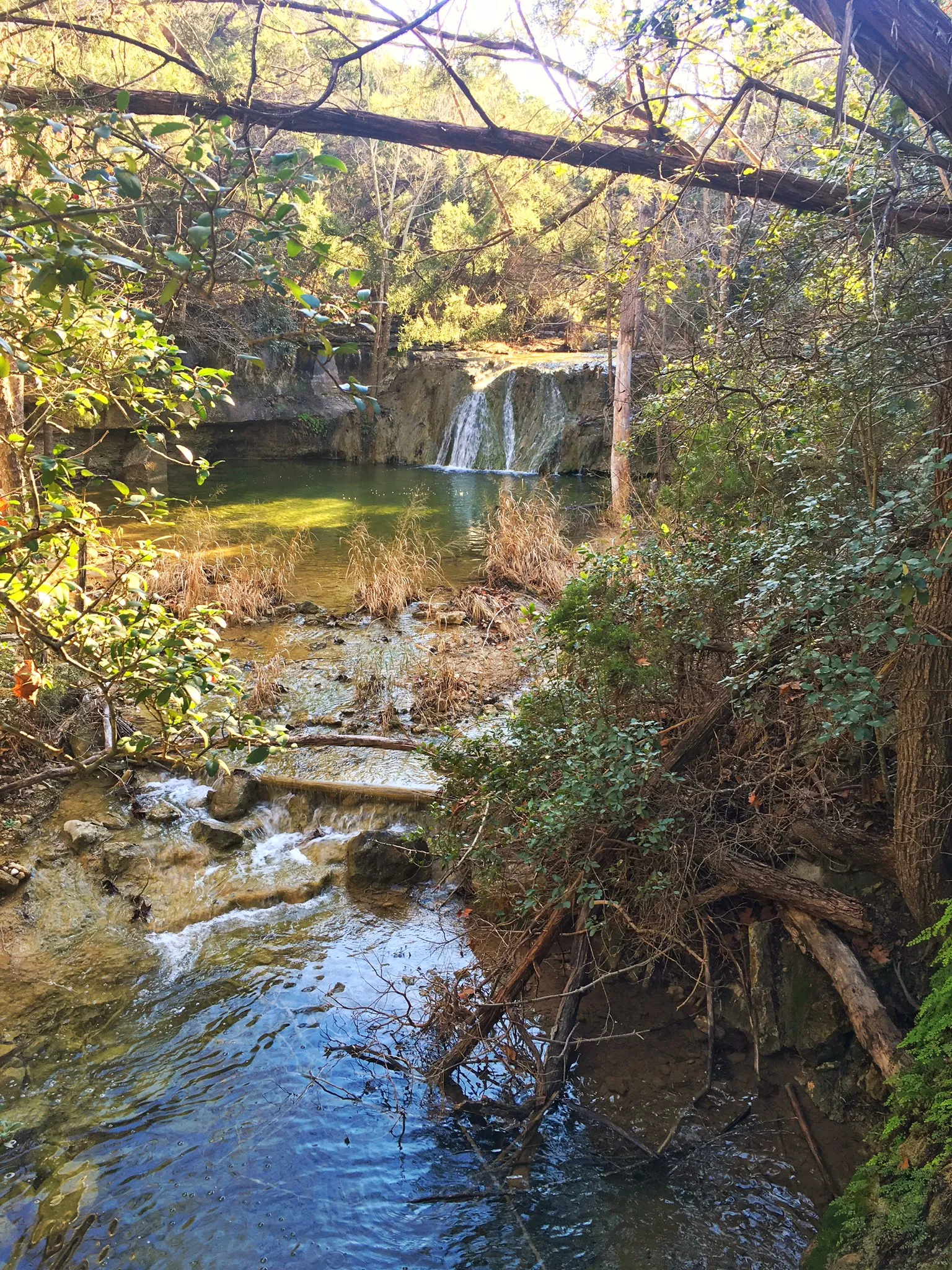 Wild Basin Wilderness Preserve Loop