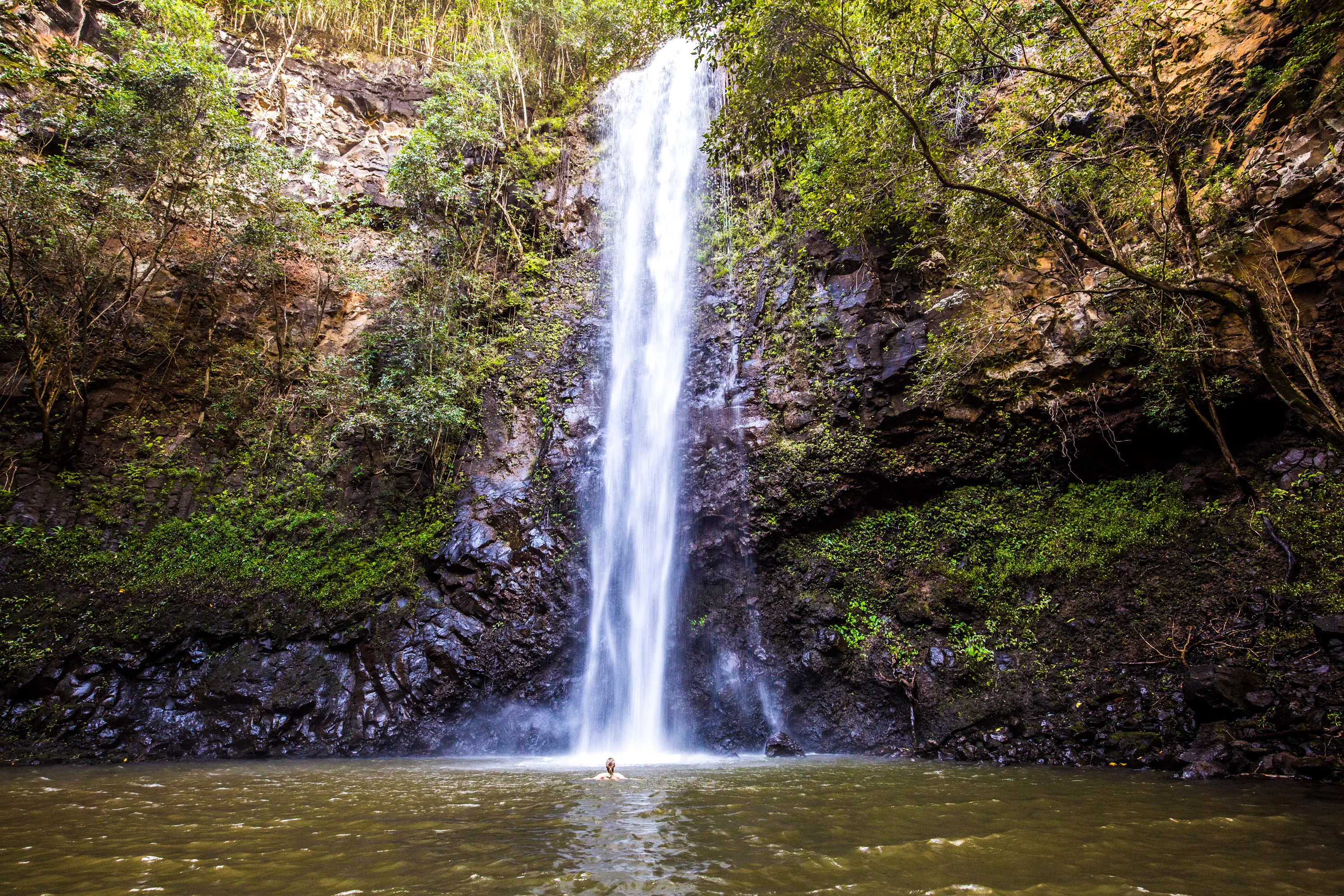 Kayak the Wailua and Hike to Secret (Uluwehi) Falls