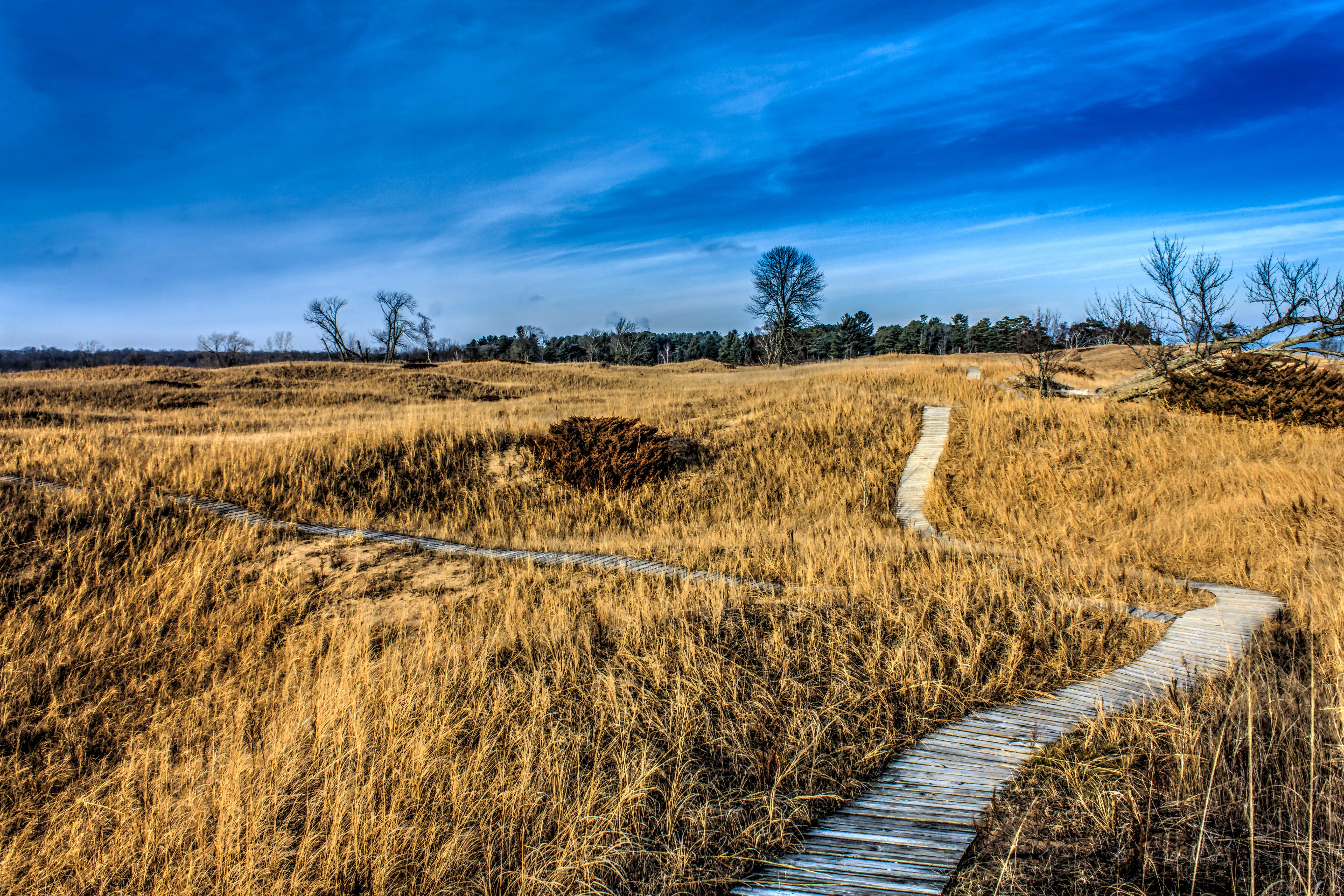 Kohler Dunes Cordwalk