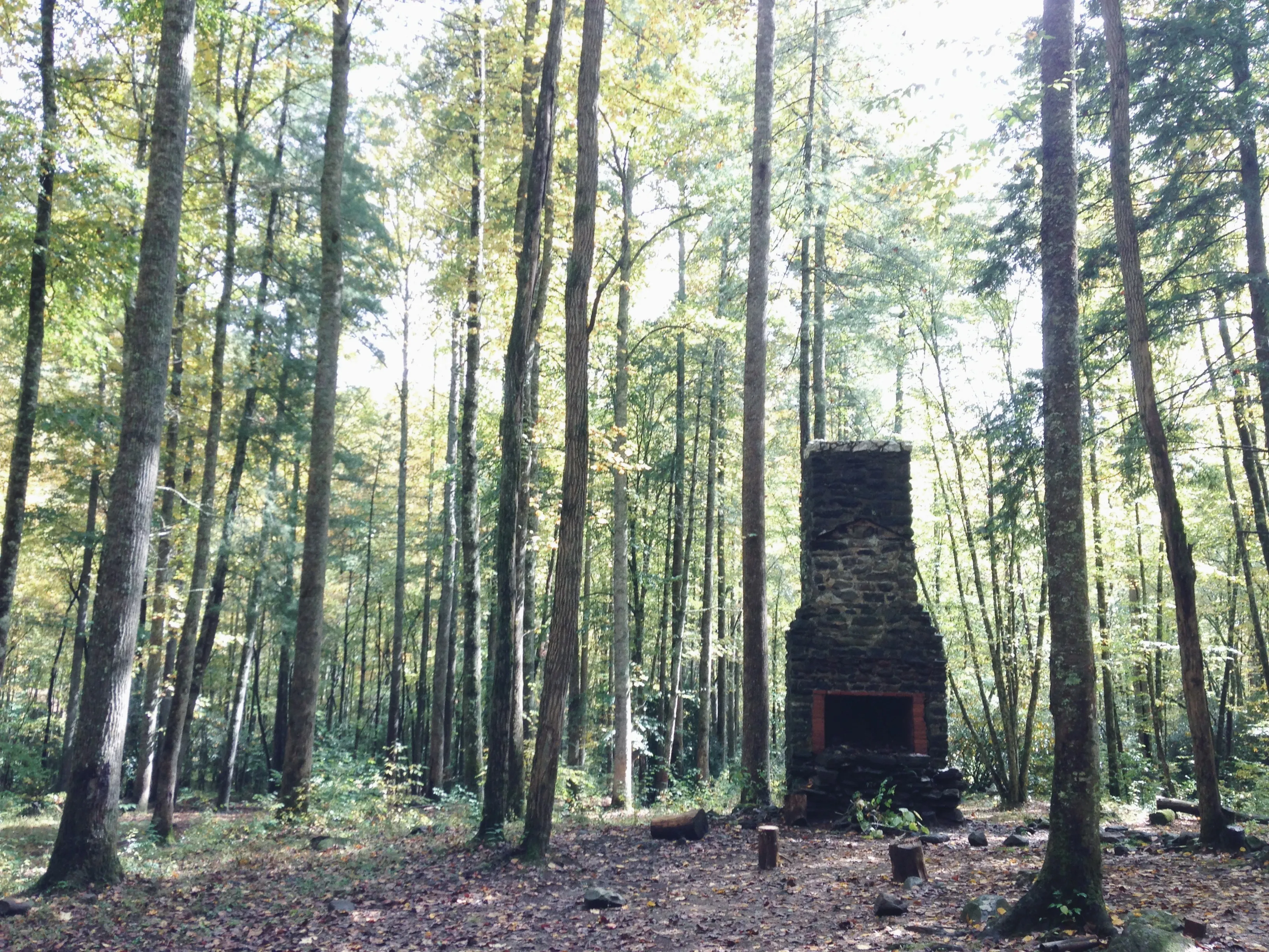 Forney Creek Loop