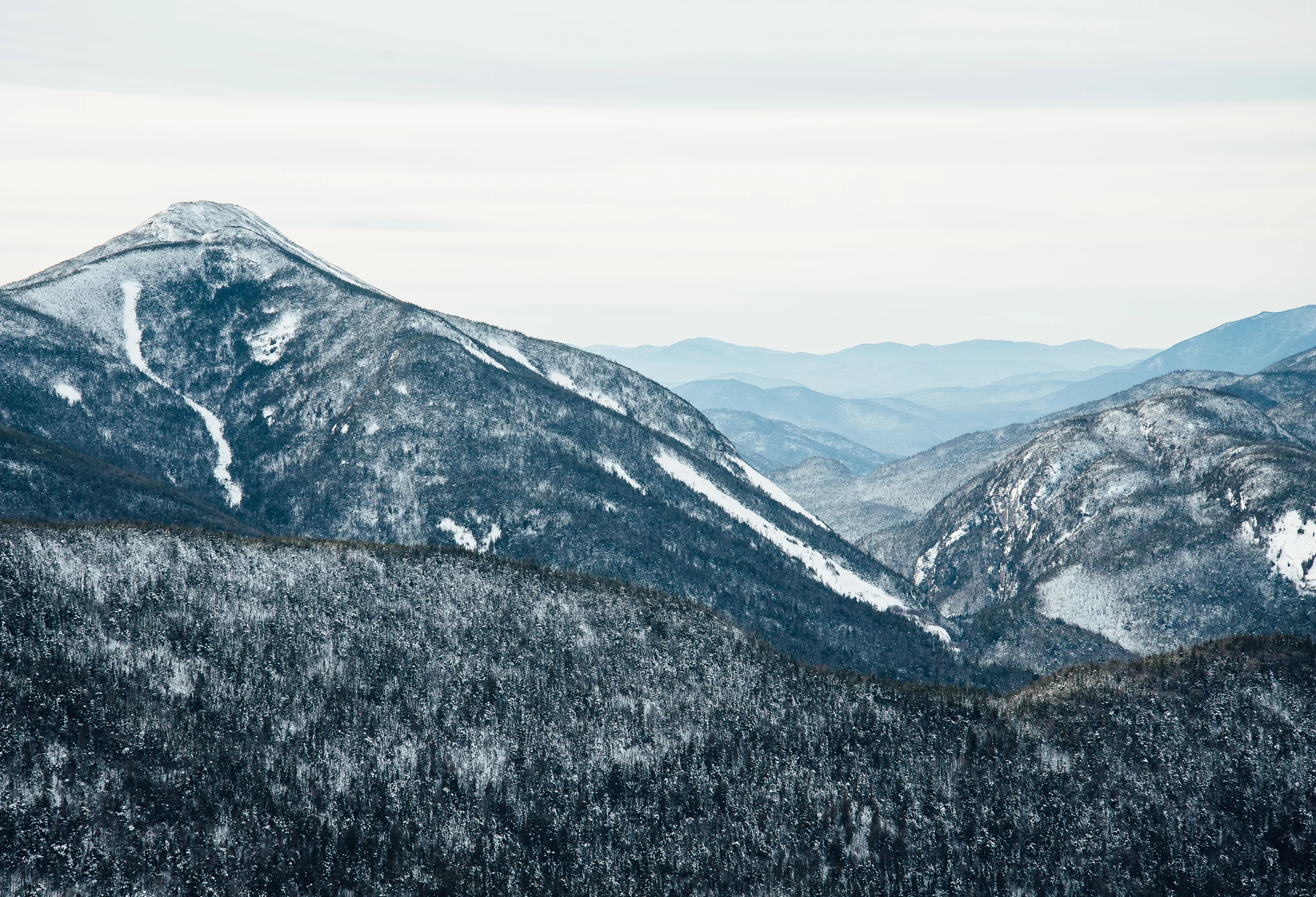 Phelps Mountains Trail