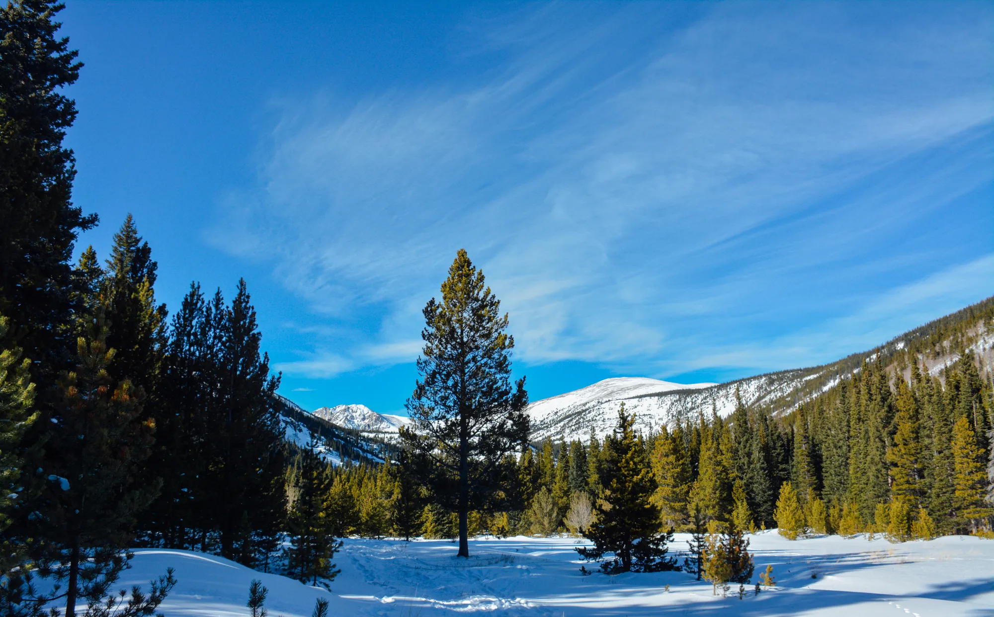 Snowshoe Lost Lake