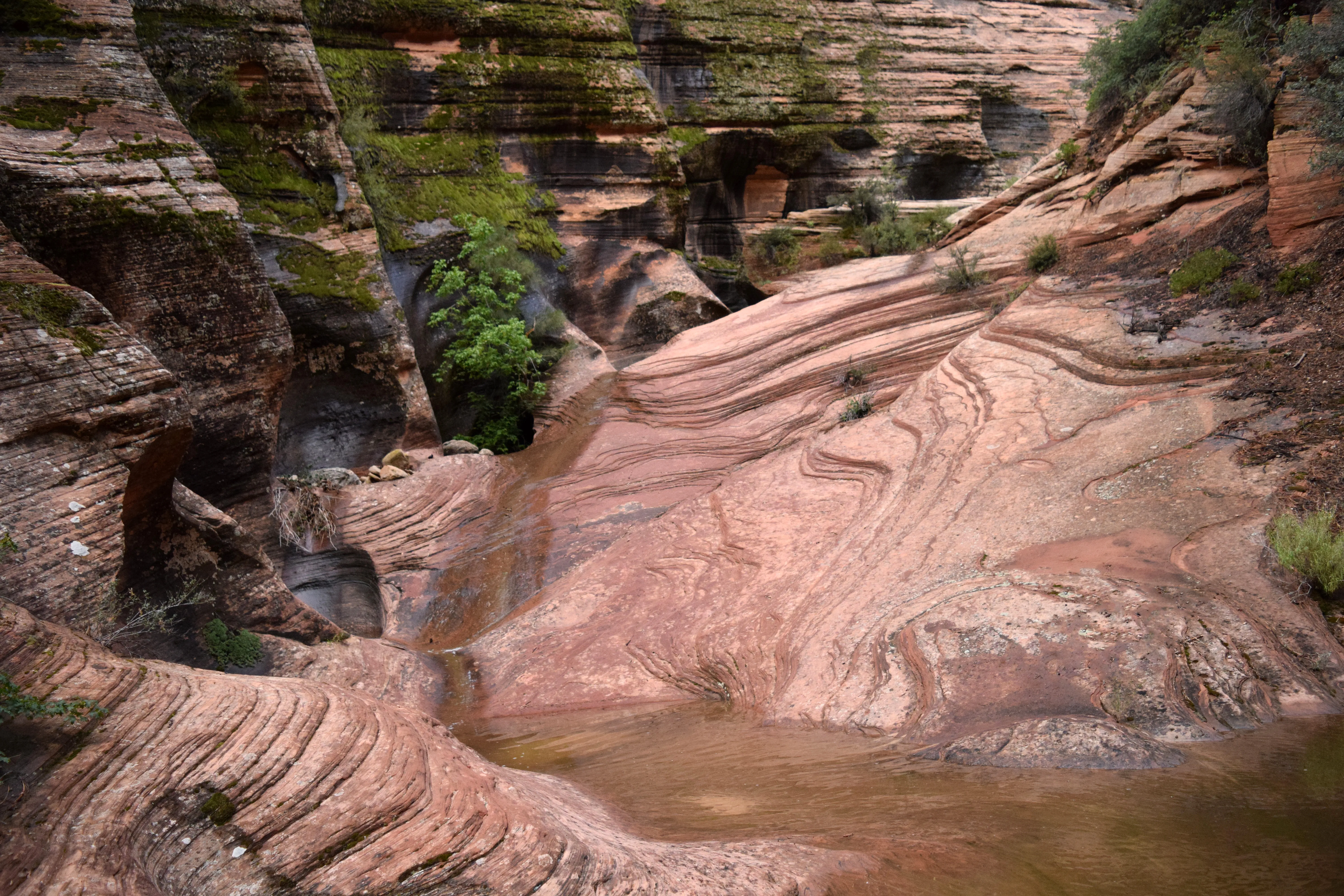 Many Pools