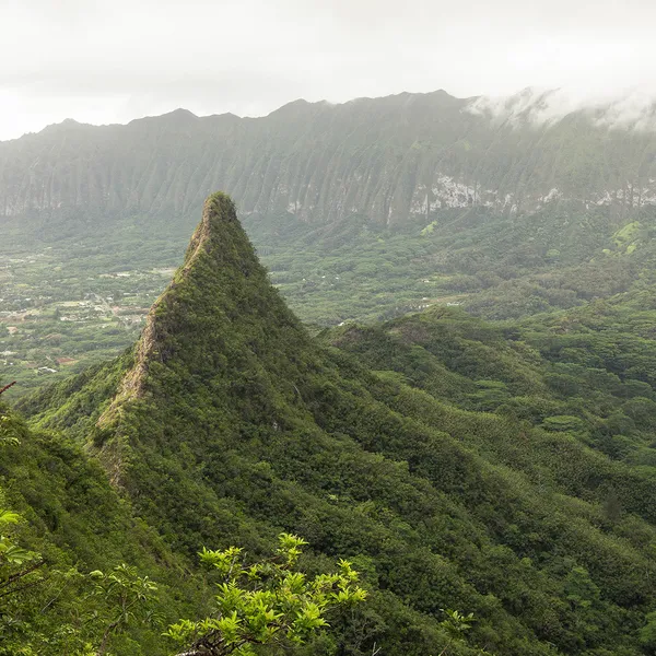 5 Reasons Why Hawaii’s Olomana “Three Peaks” Hike Is An Adrenaline Junkie’s Dream
