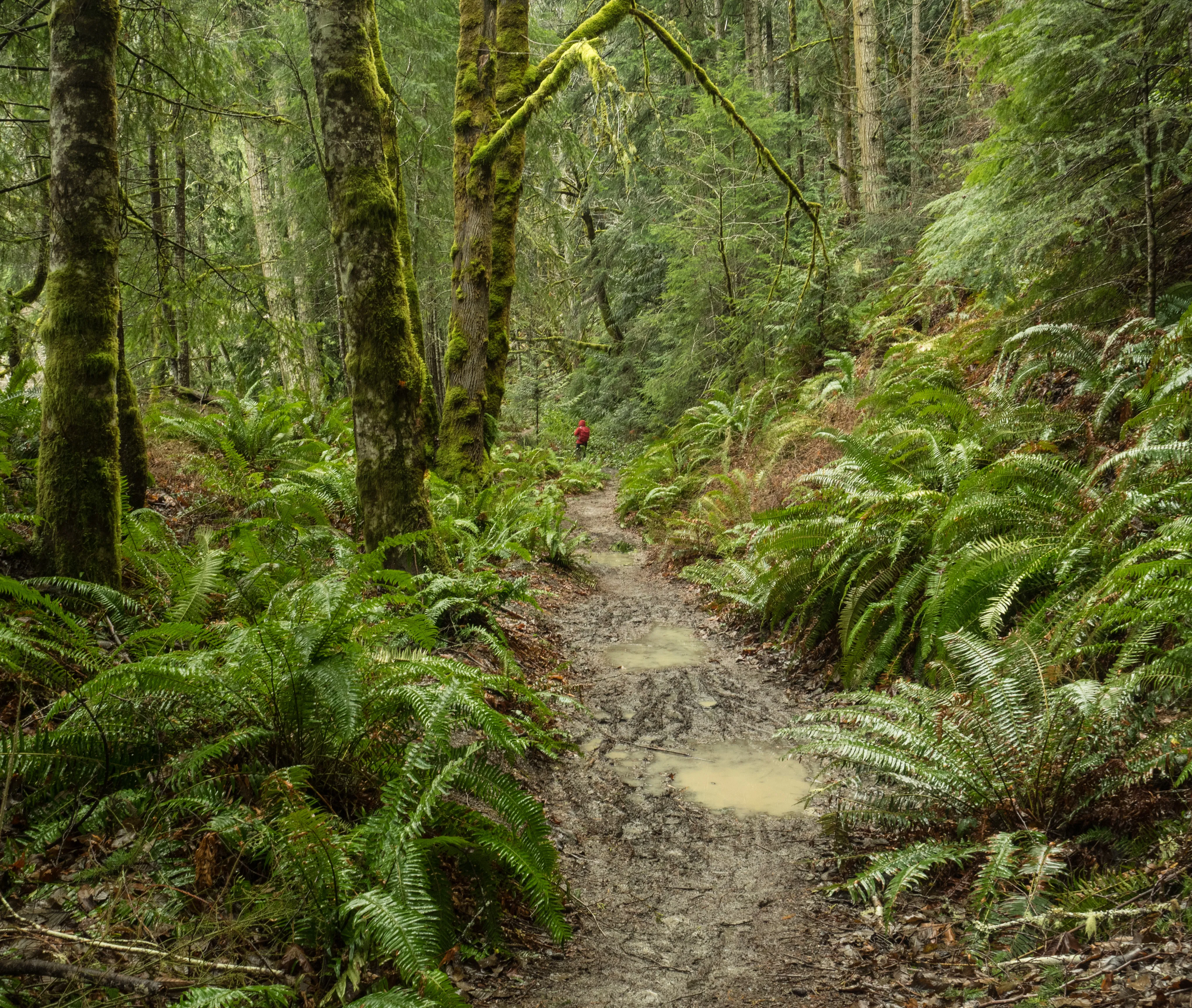 Spruce Railroad Trail
