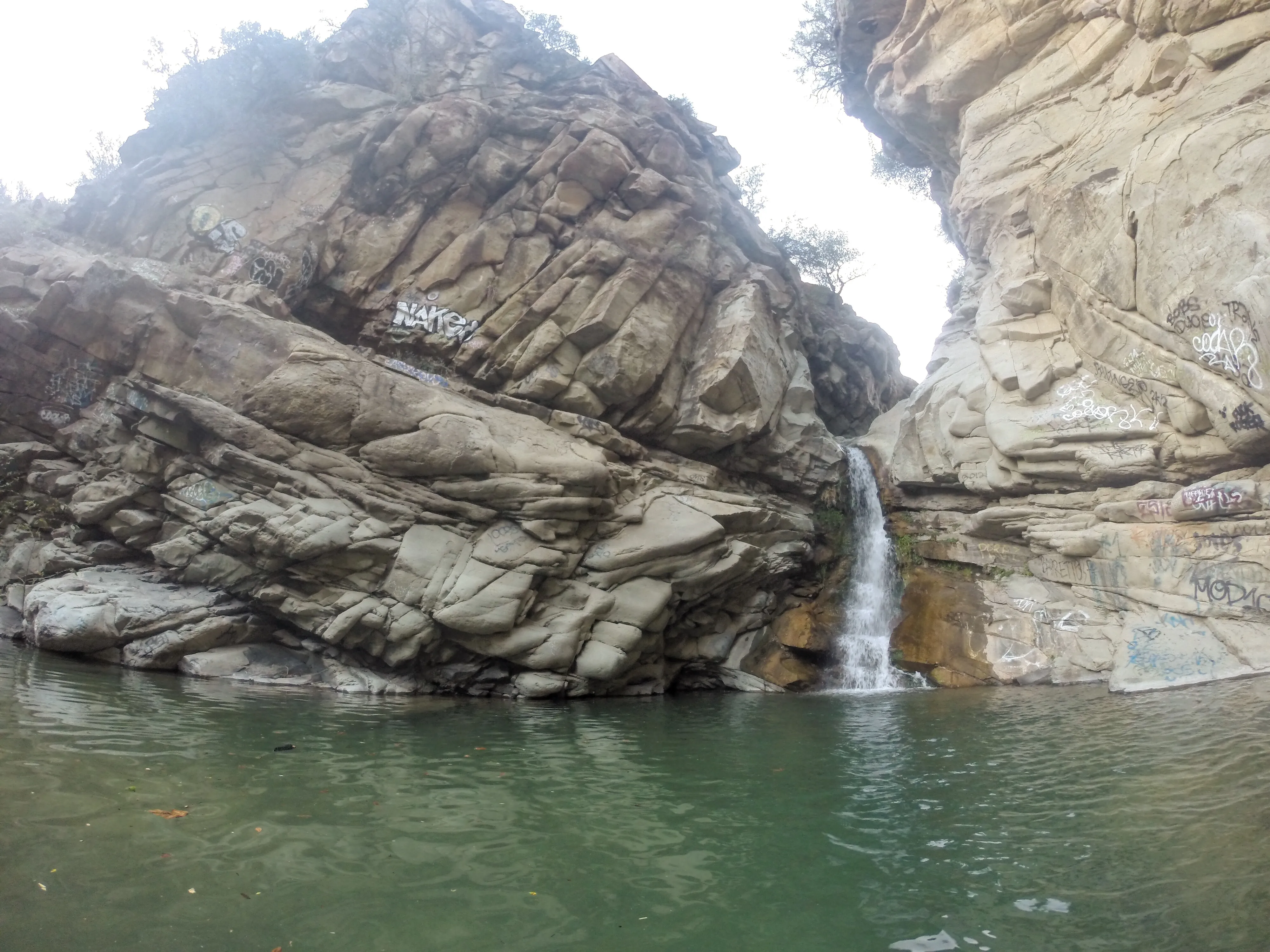 Santa Paula Punch Bowls