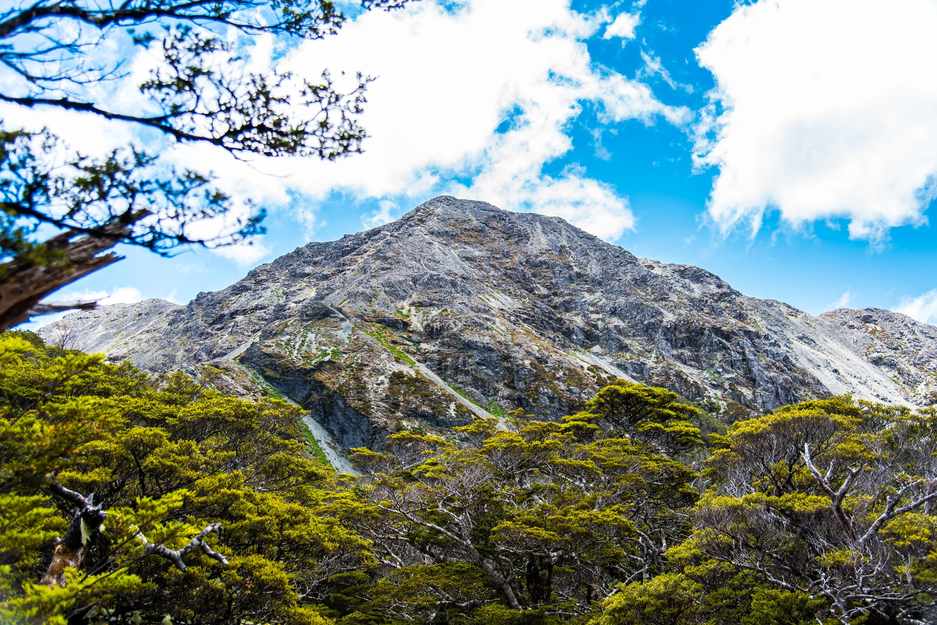 Hike Mt. Fishtail