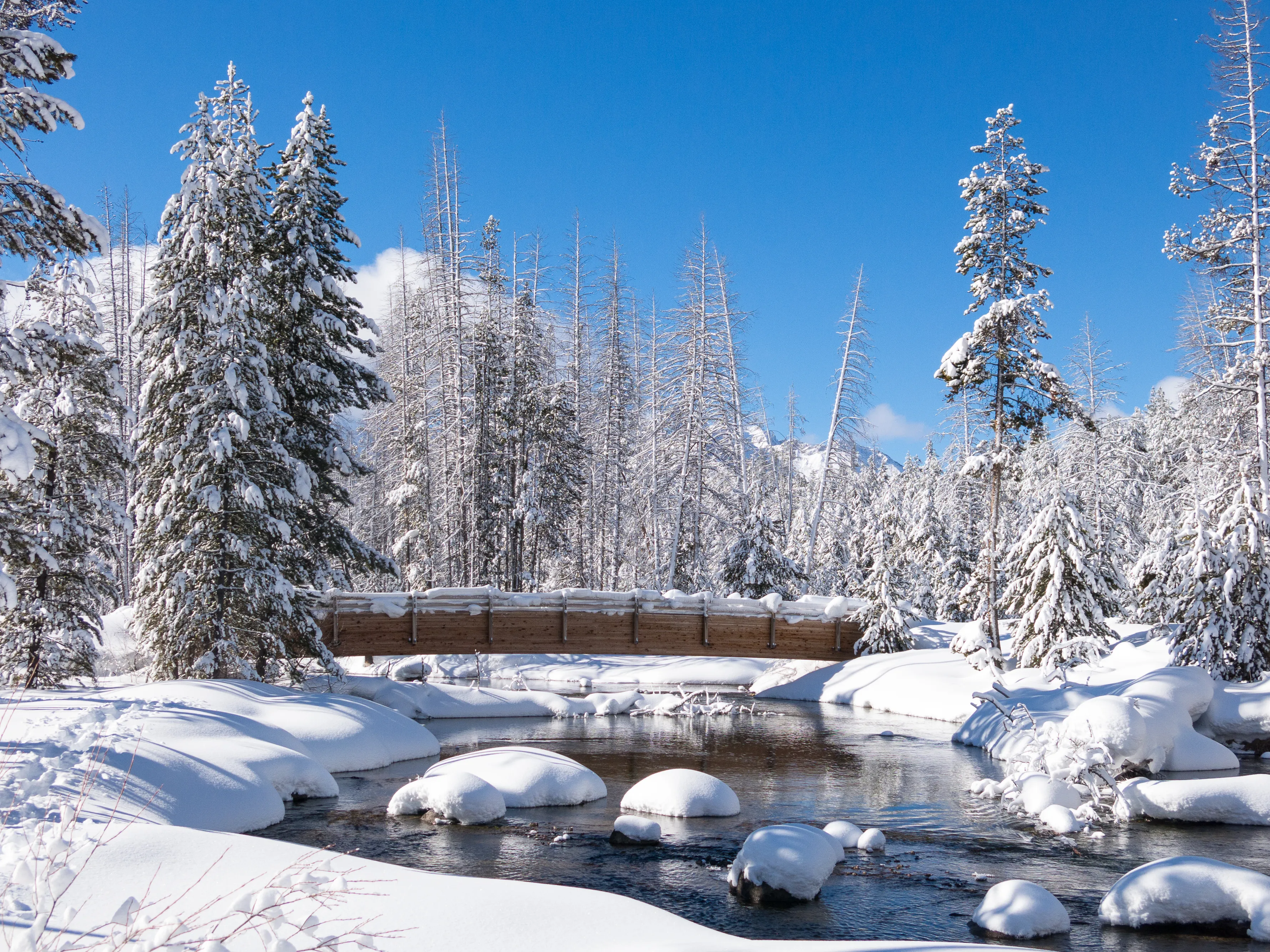 Ski to Redfish Lake