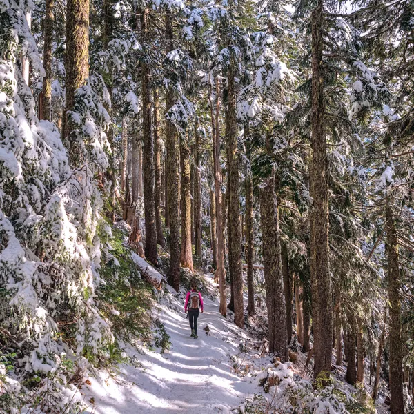 8 Reasons Why You Should Hike This Winter