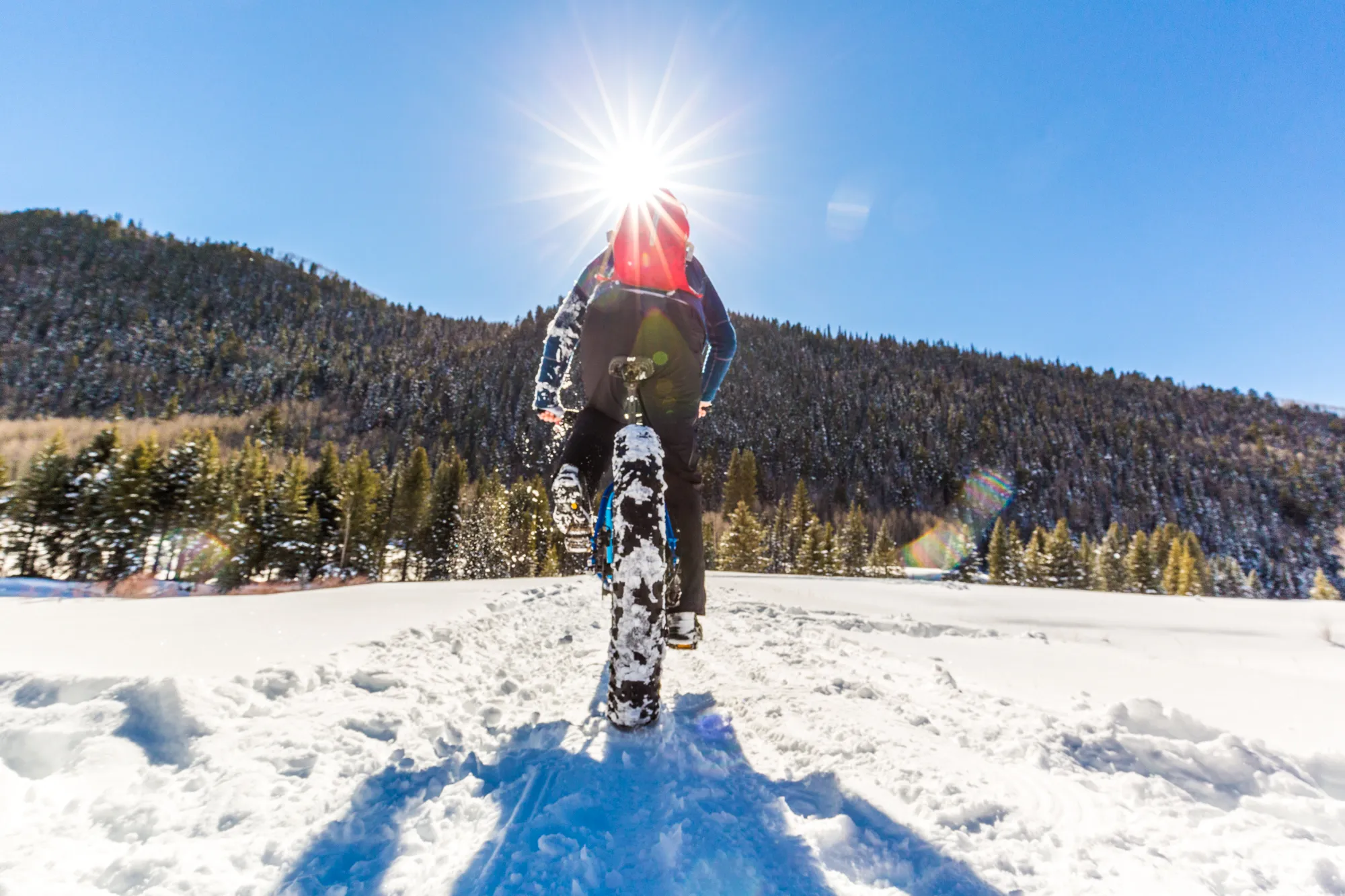 Fat Bike In Telluride 