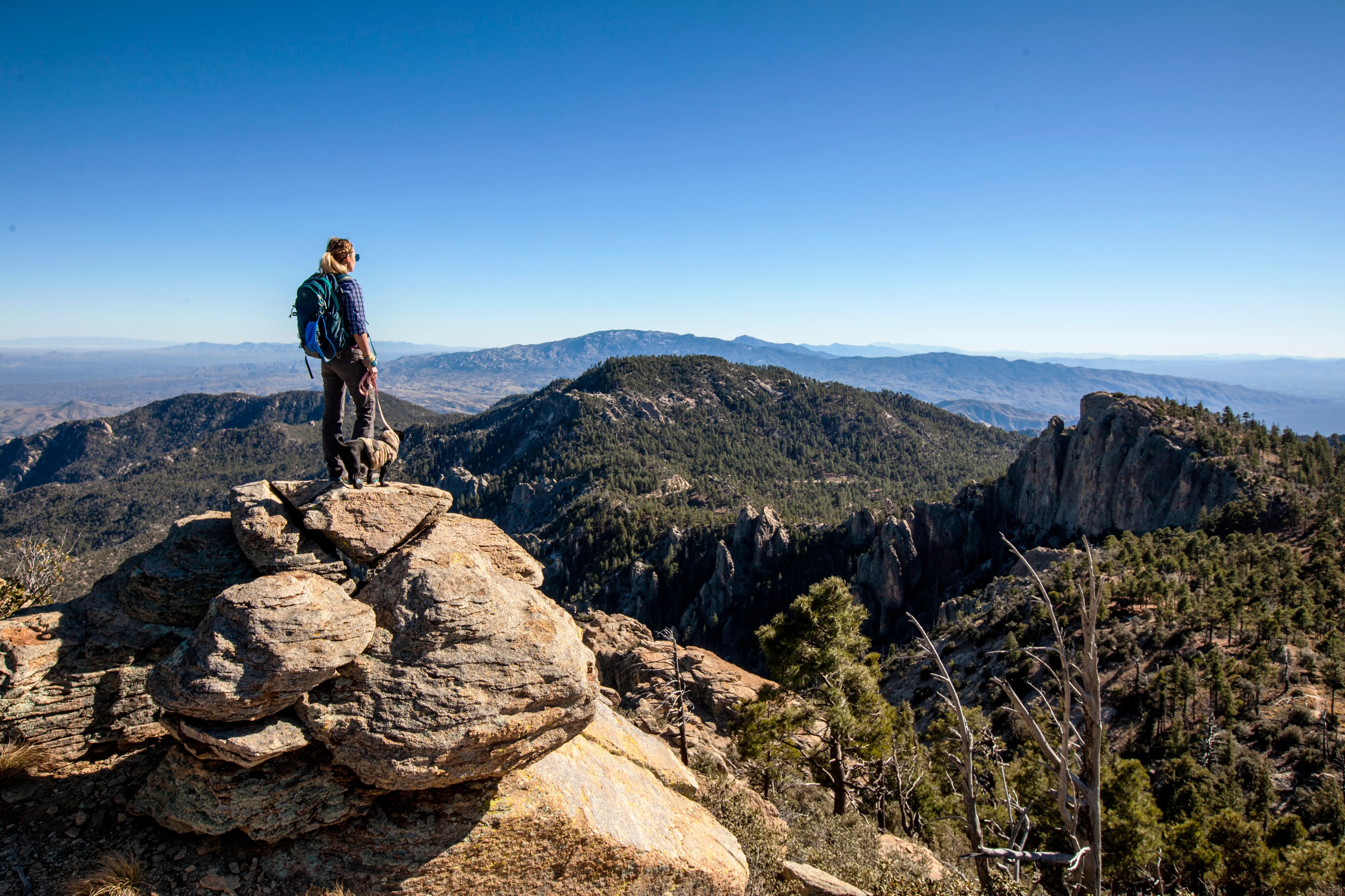 Incinerator Ridge to Leopold Point
