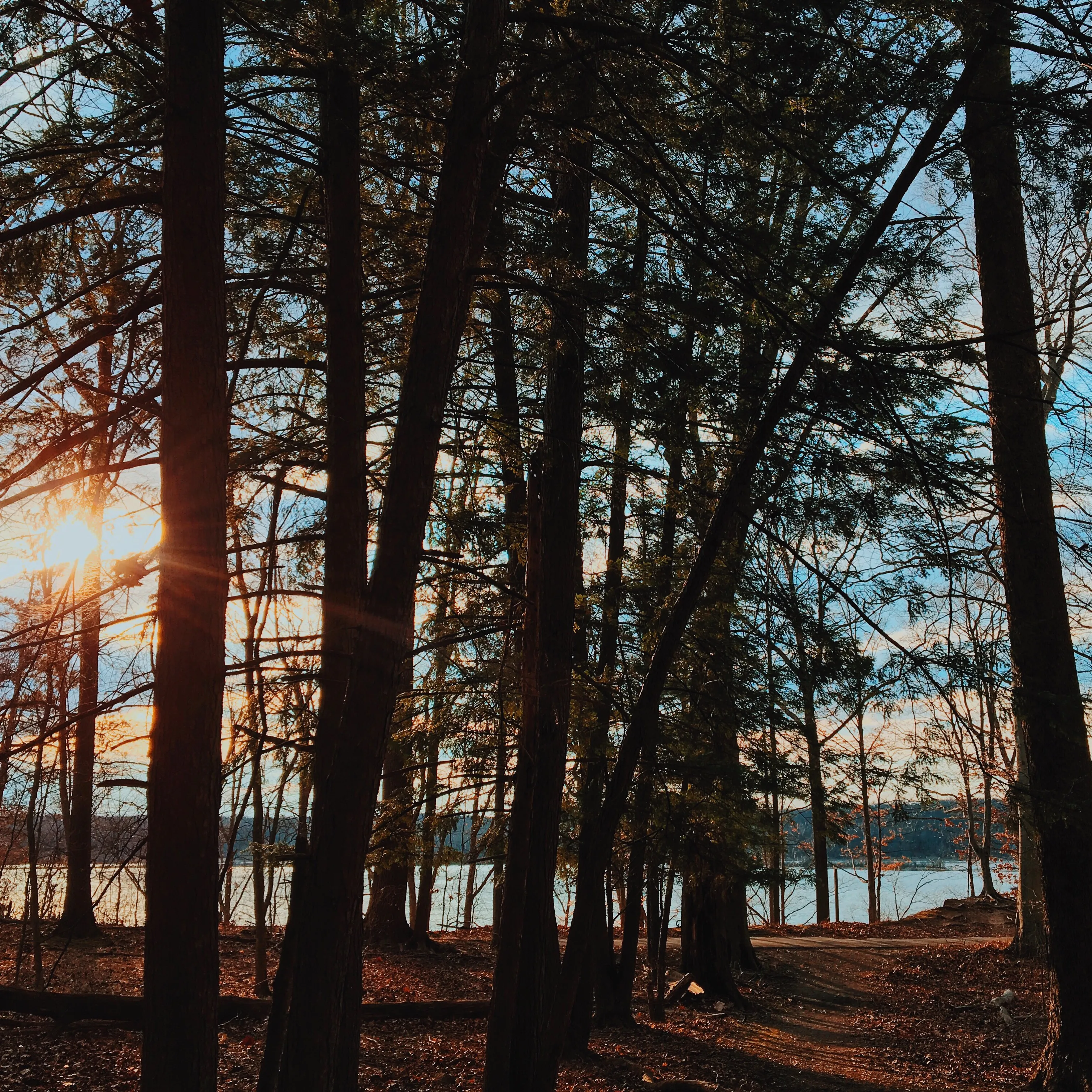 Hike at Eagle Creek Beach