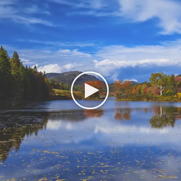 Incredible Footage Of Acadia National Park In Autumn