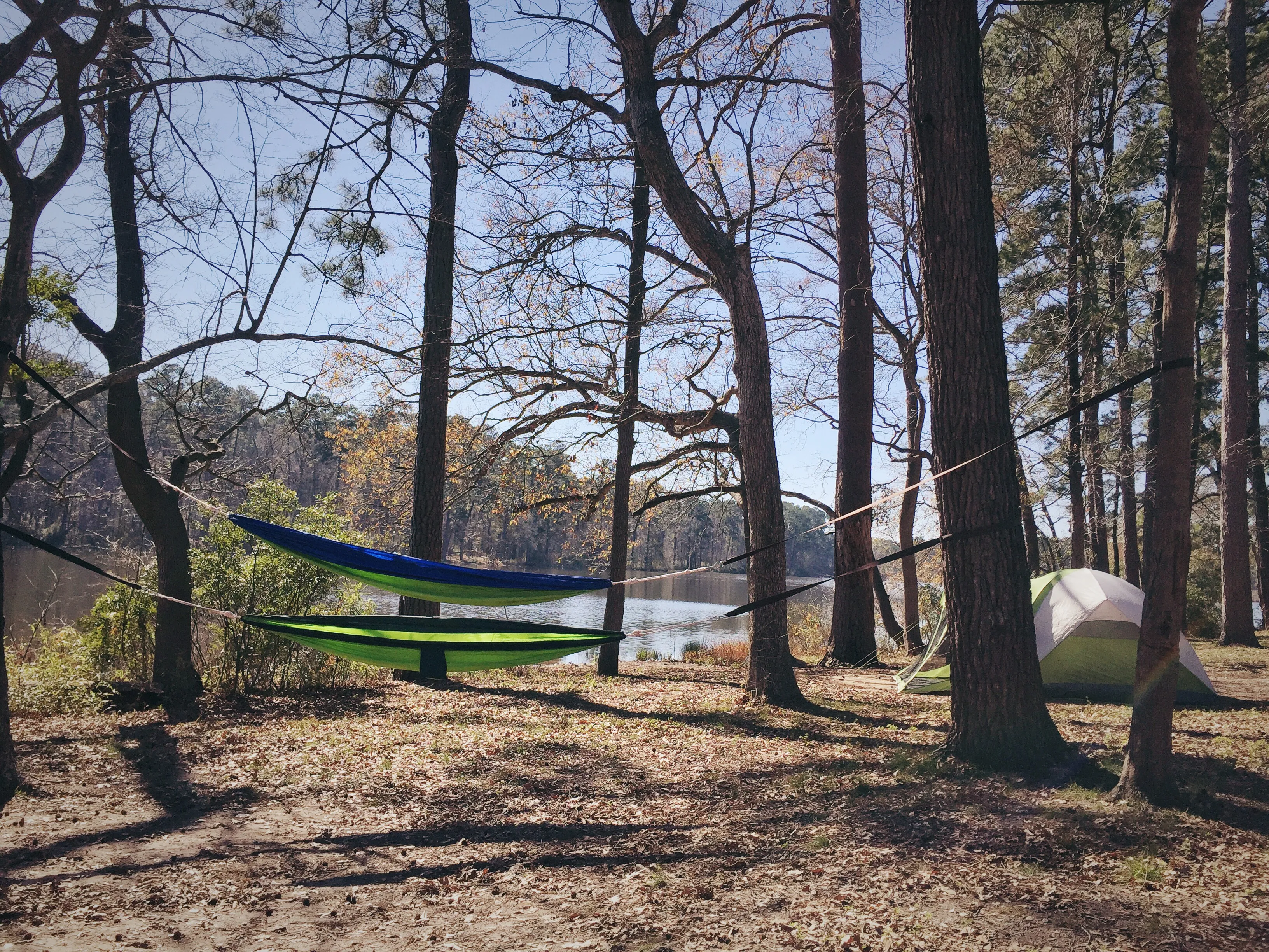 Camp at Huntsville State Park