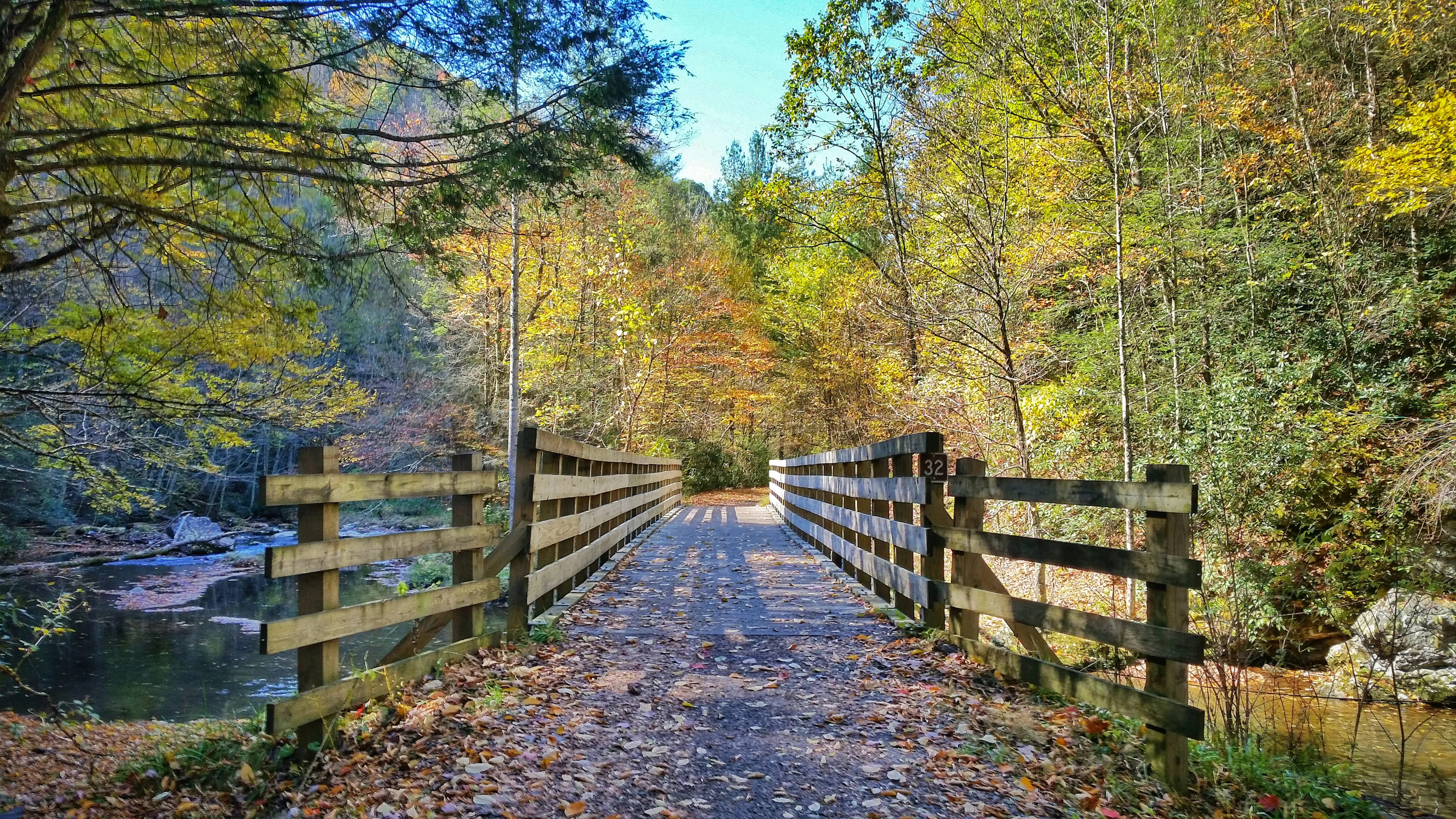 Bike the Virginia Creeper Trail