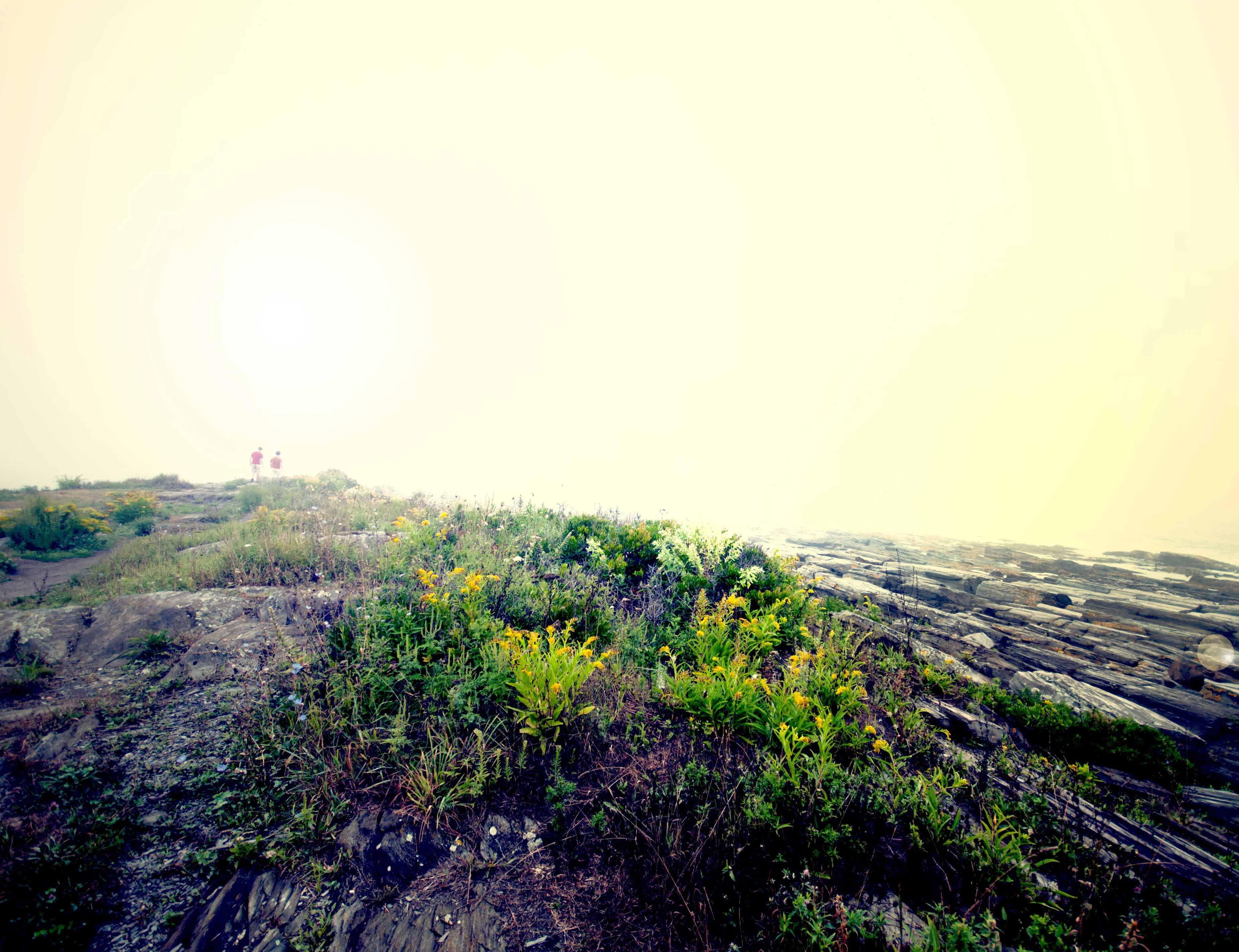Hike around Cape Elizabeth's Dyer Cove
