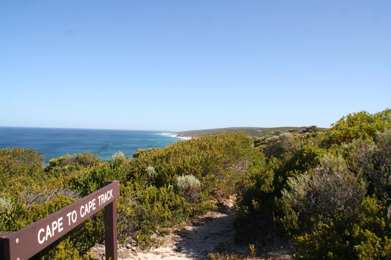 Hike the Cape to Cape Track