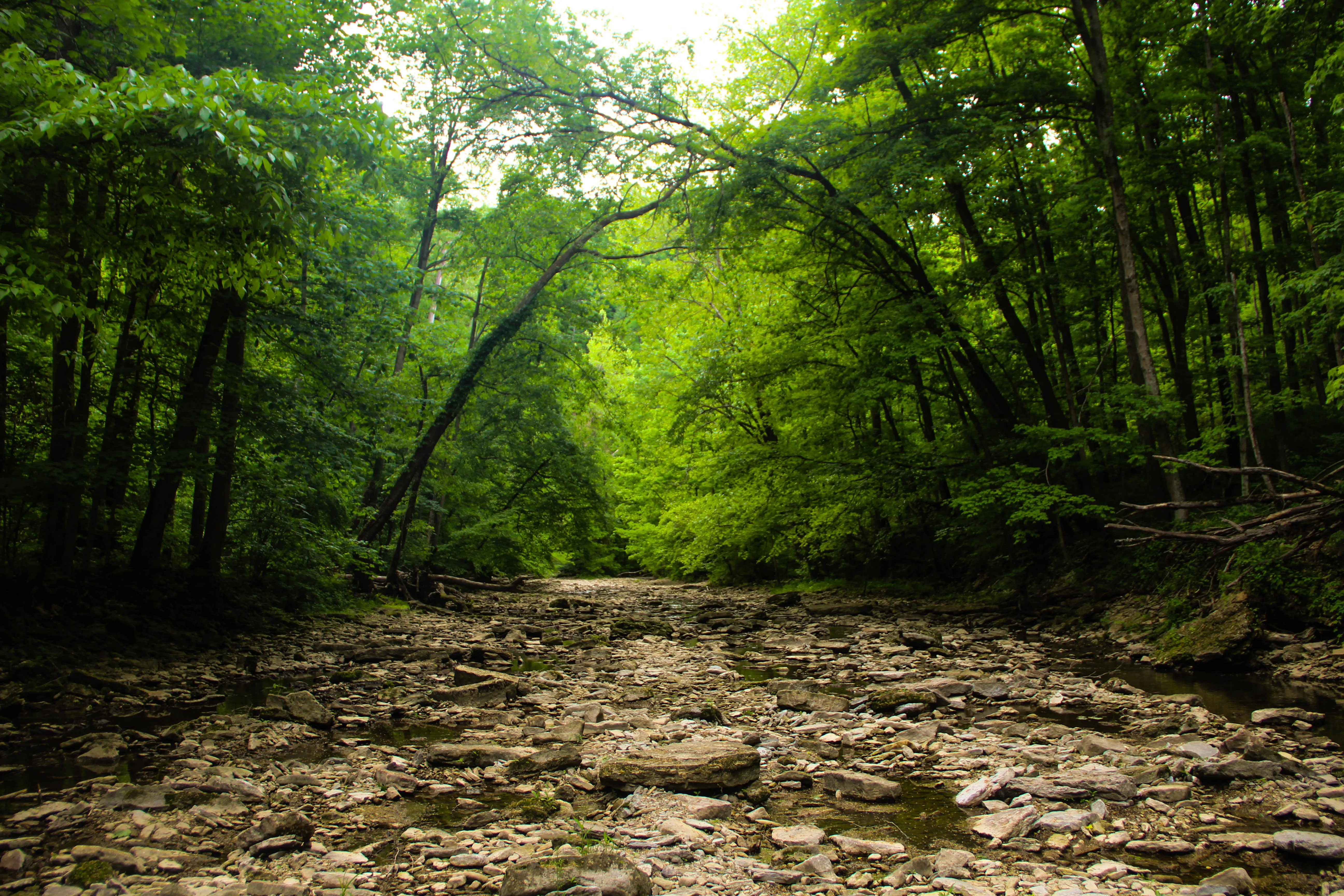 Clifty, Hoffman, and Tunnel Falls Loop