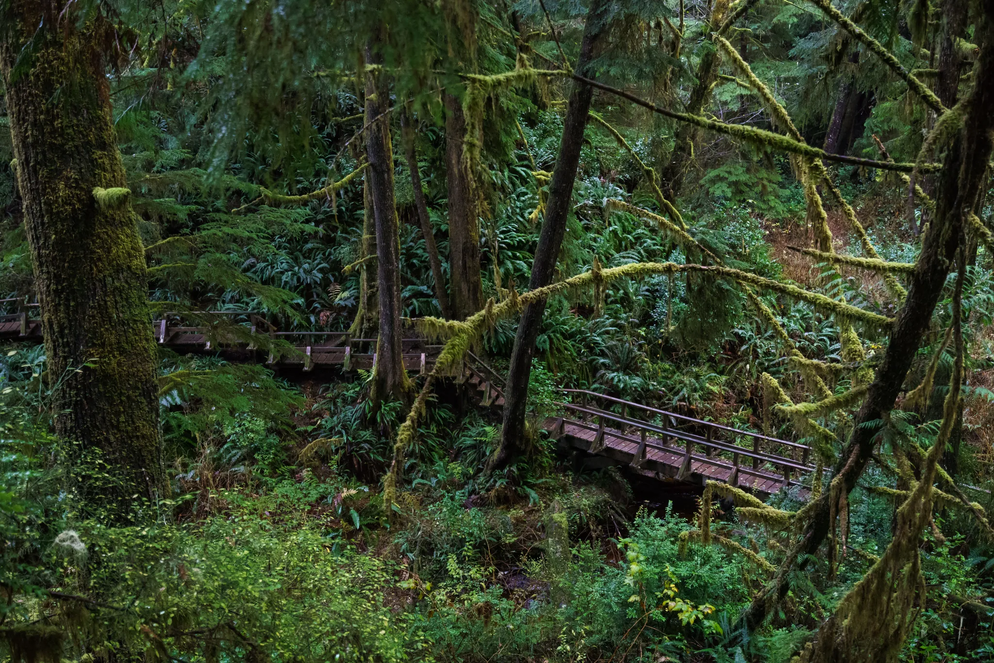 Hike to Schooner Cove