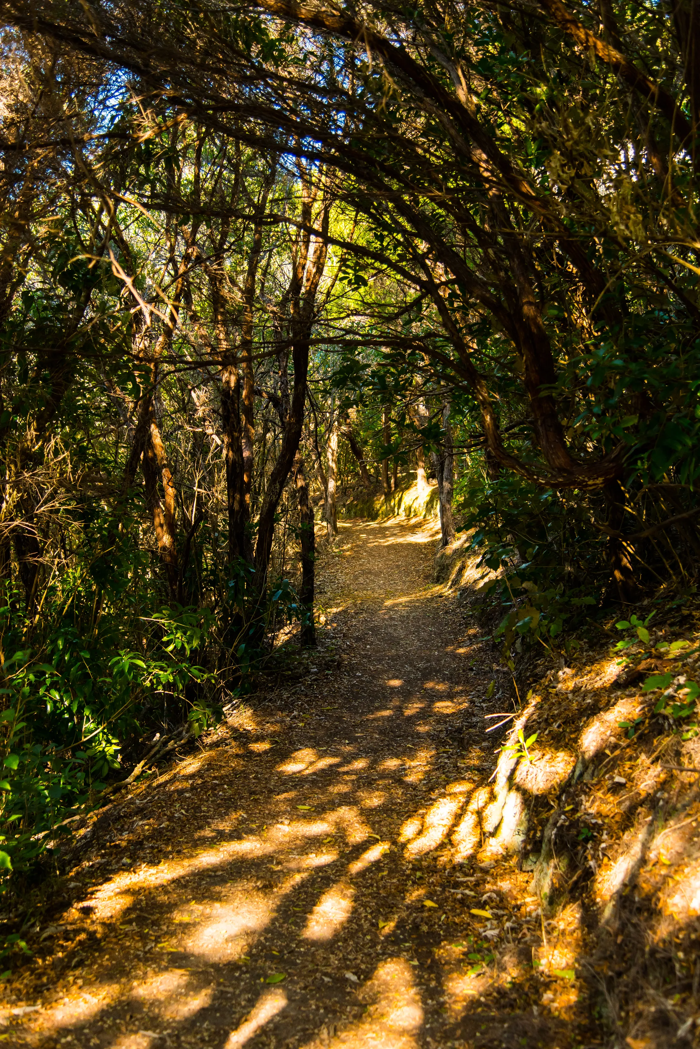 Hike The Snout Track
