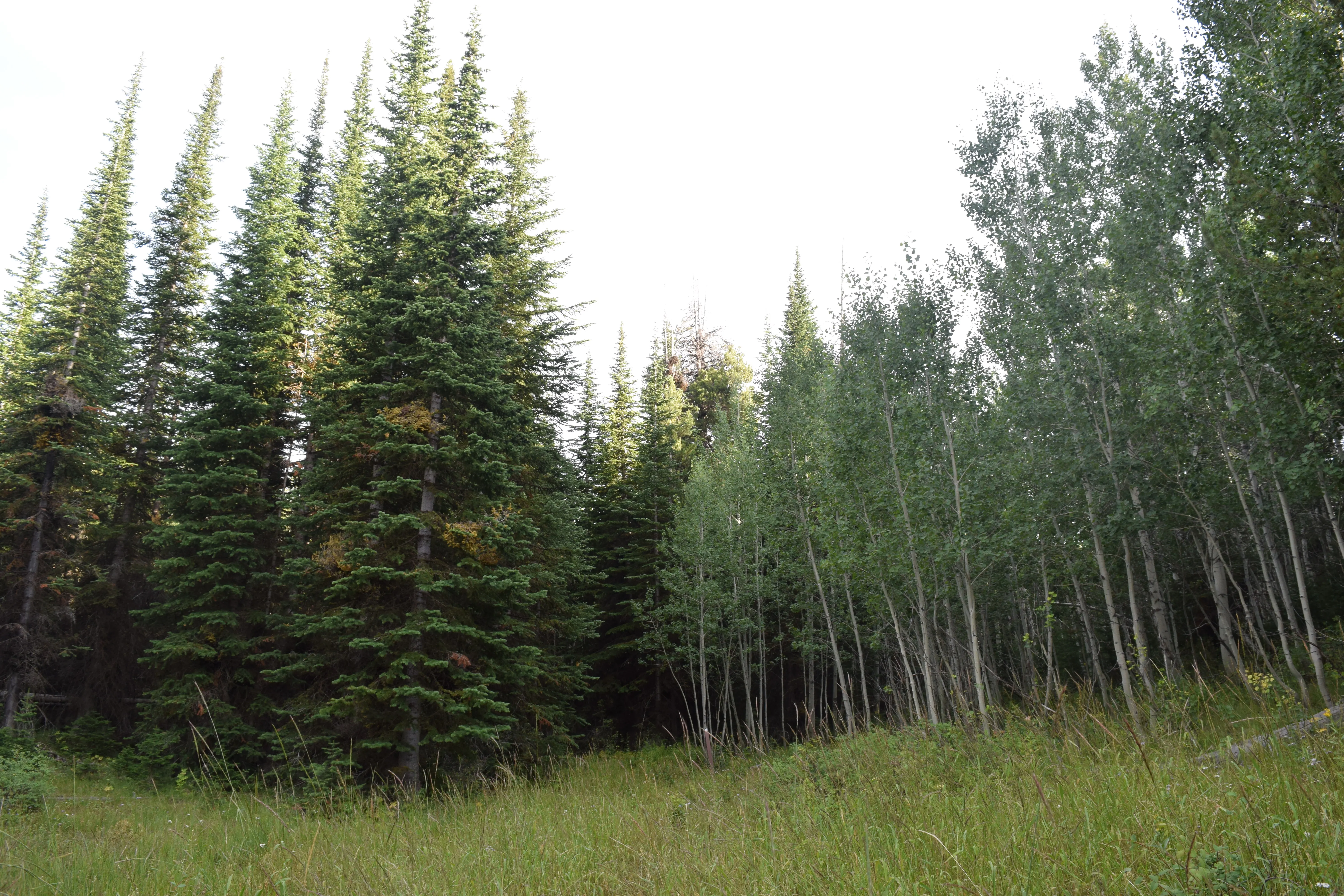 Hike Eagle Loop