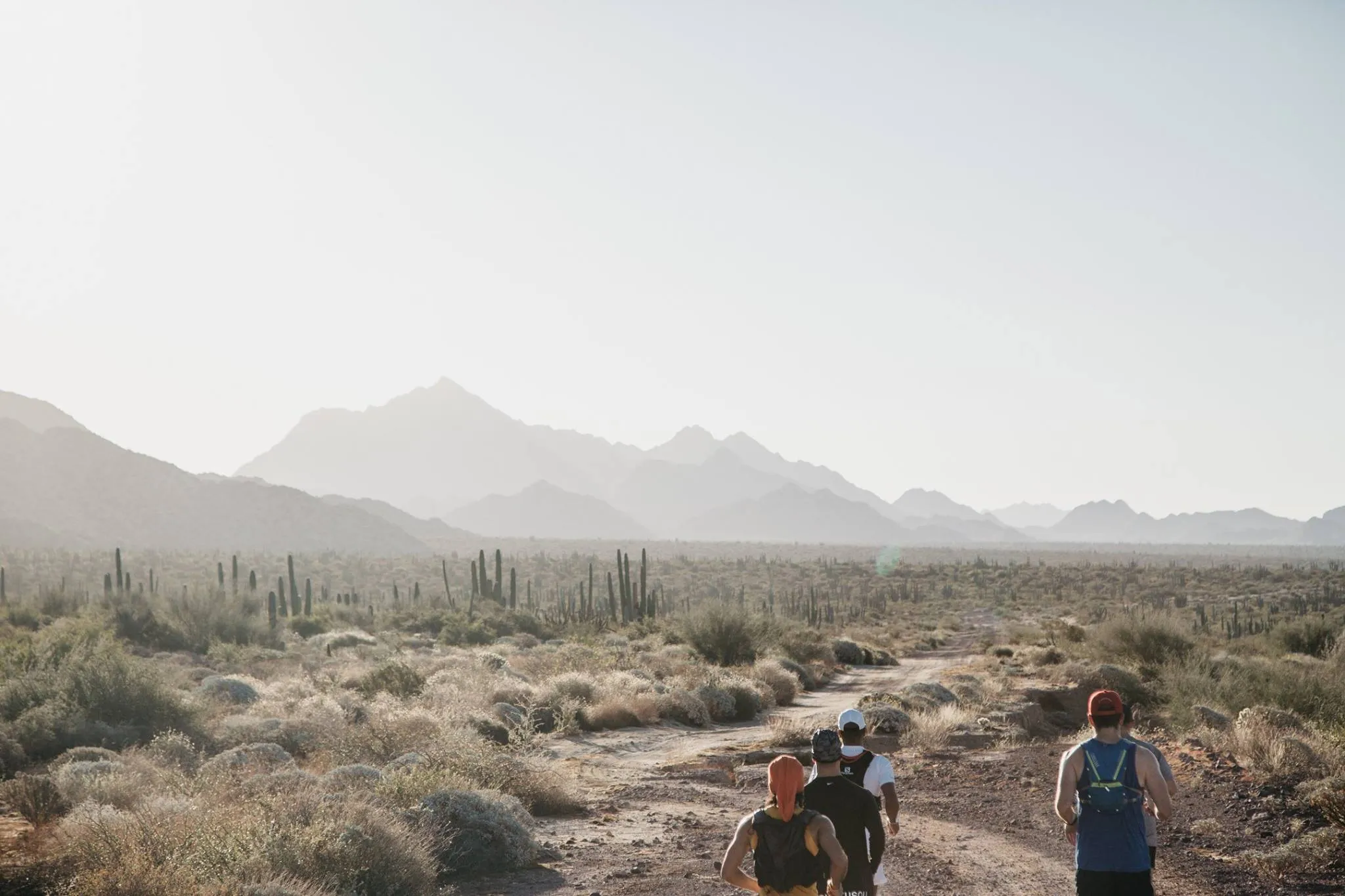 Run the Land of the Seri: El Desemboque to Bahía de Kino