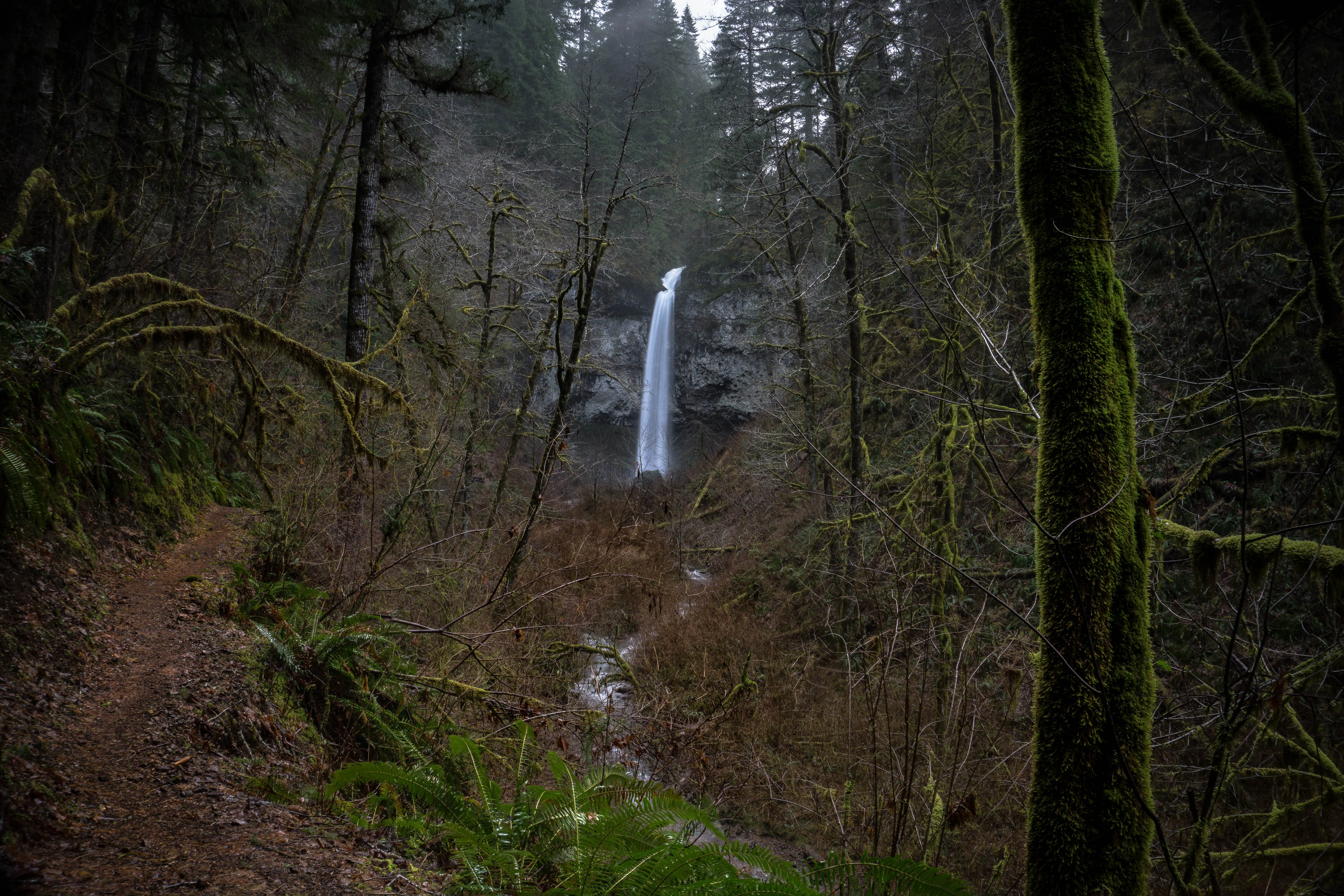 Hike to Pheasant Creek Falls
