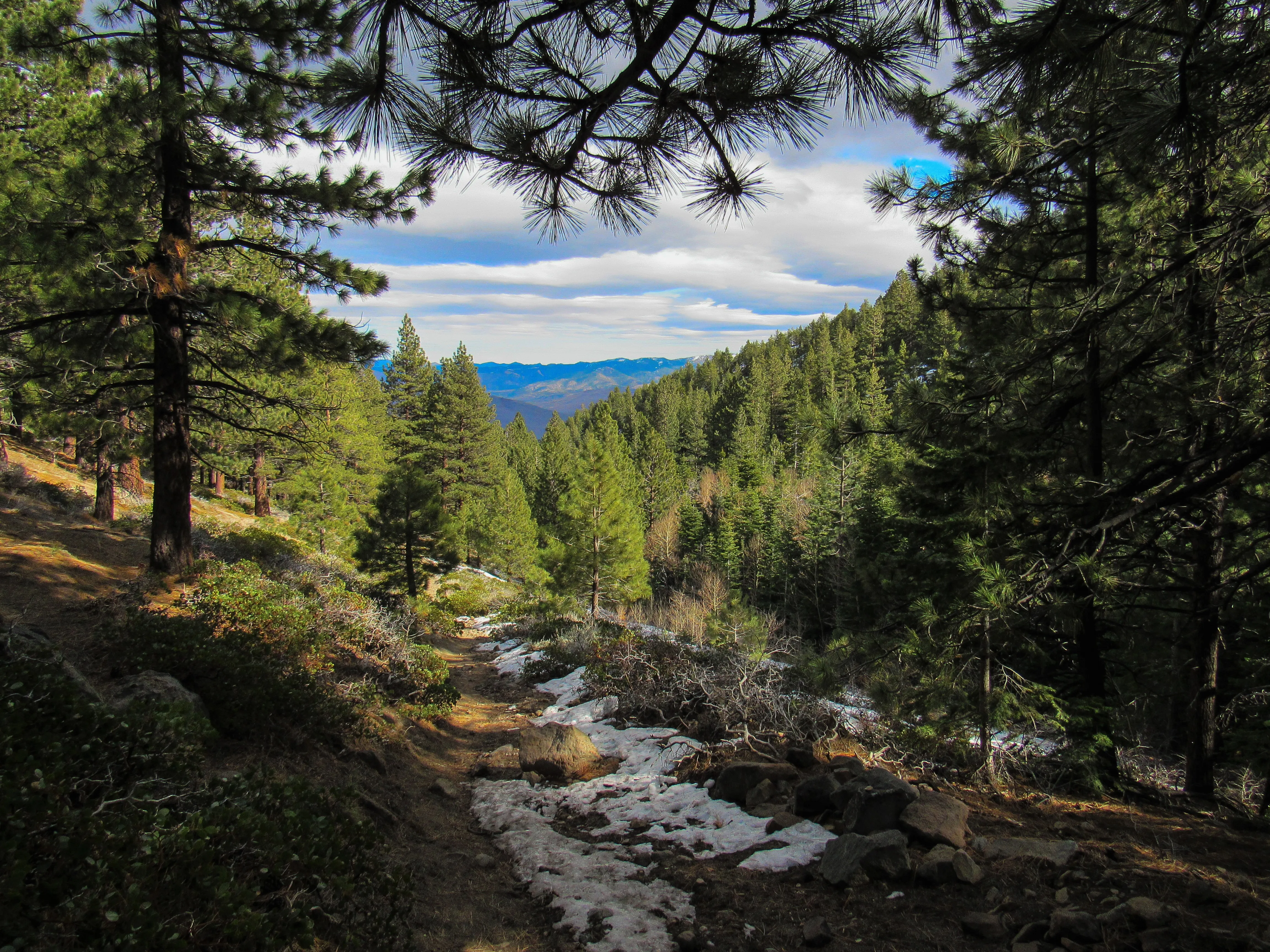 Jones Whites Creek Loop