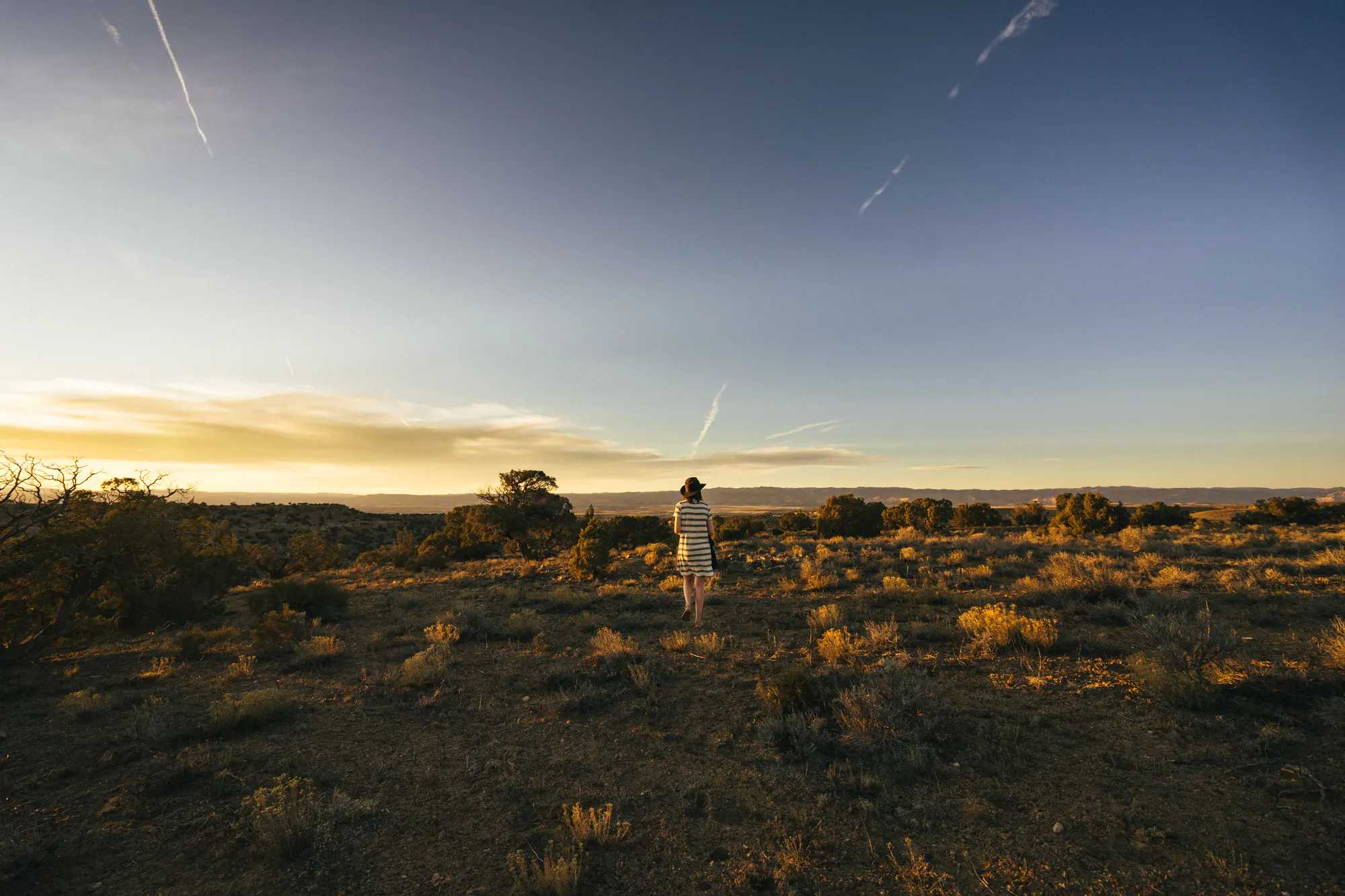 Hike the Trail Through Time Paleontological Trail