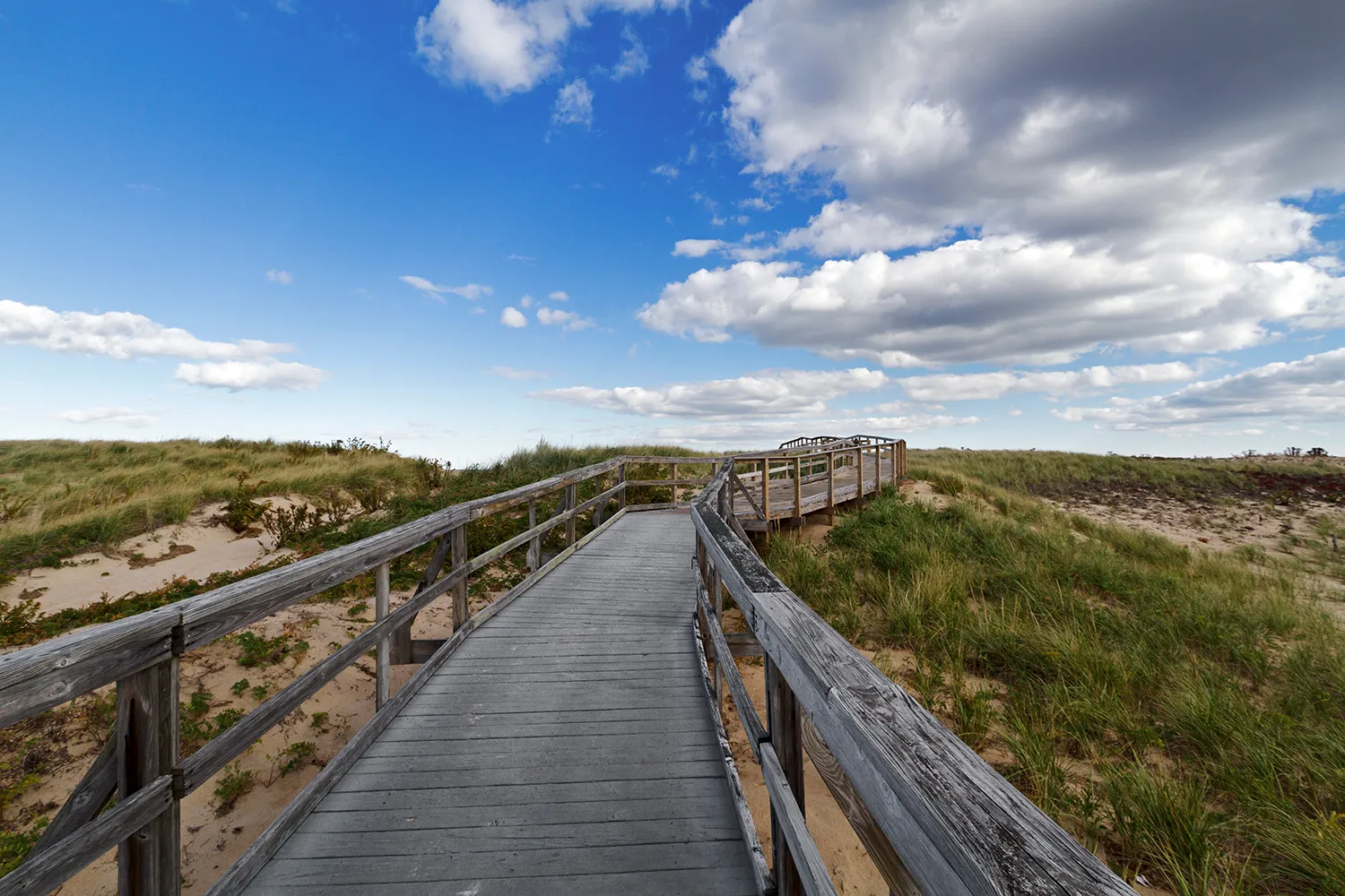 Explore the Parker River National Wildlife Refuge