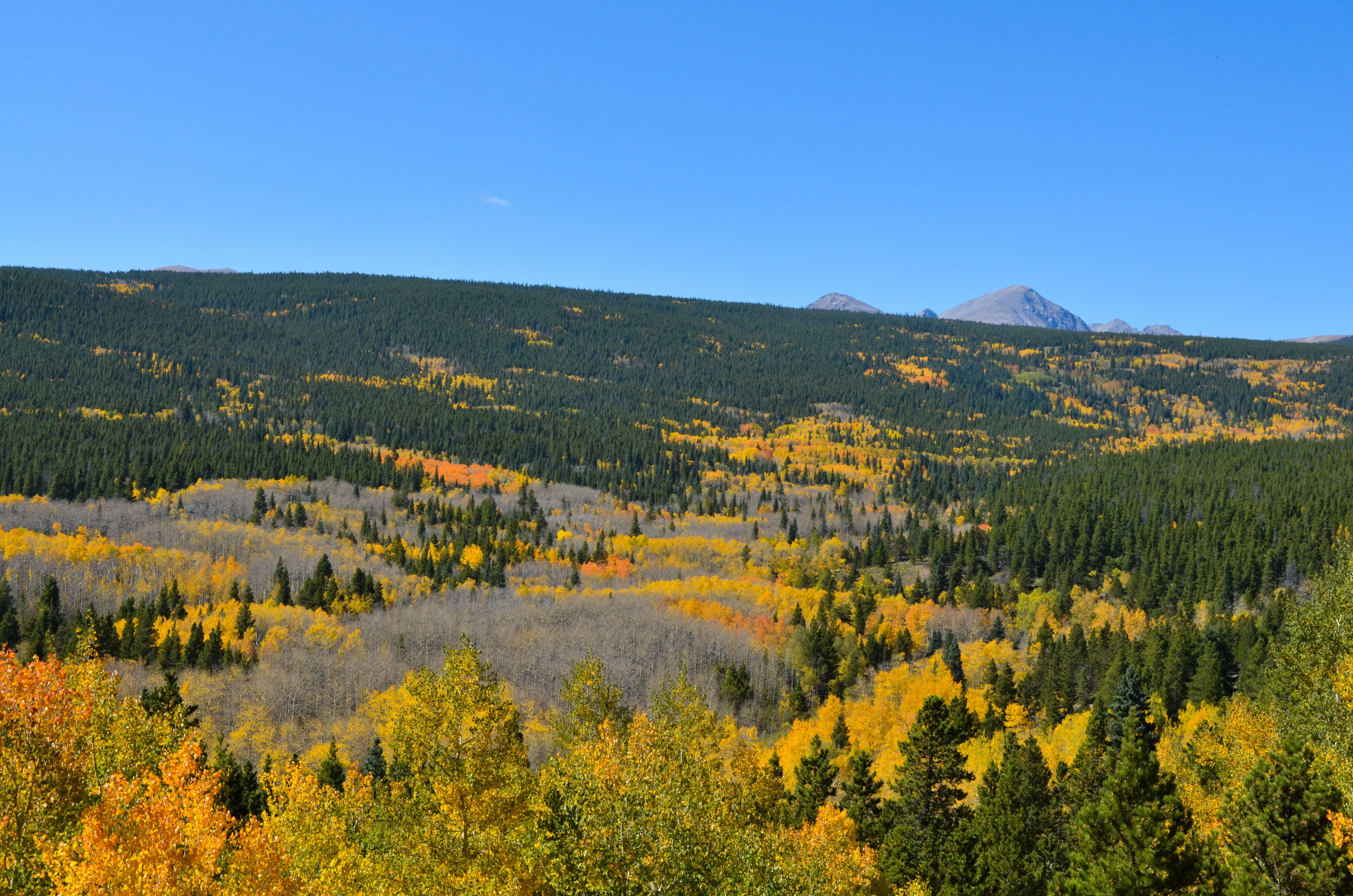 Drive the Peak to Peak Highway