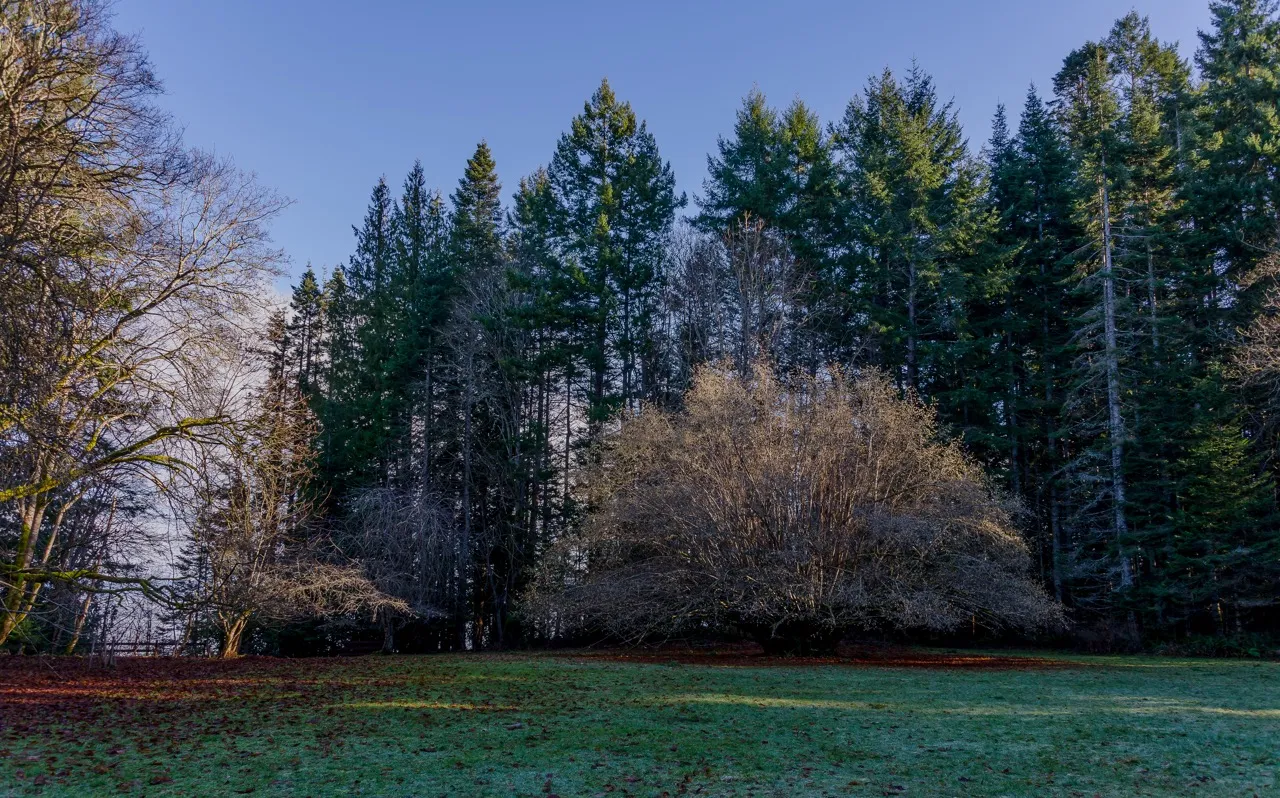 Explore Fillongley Provincial Park
