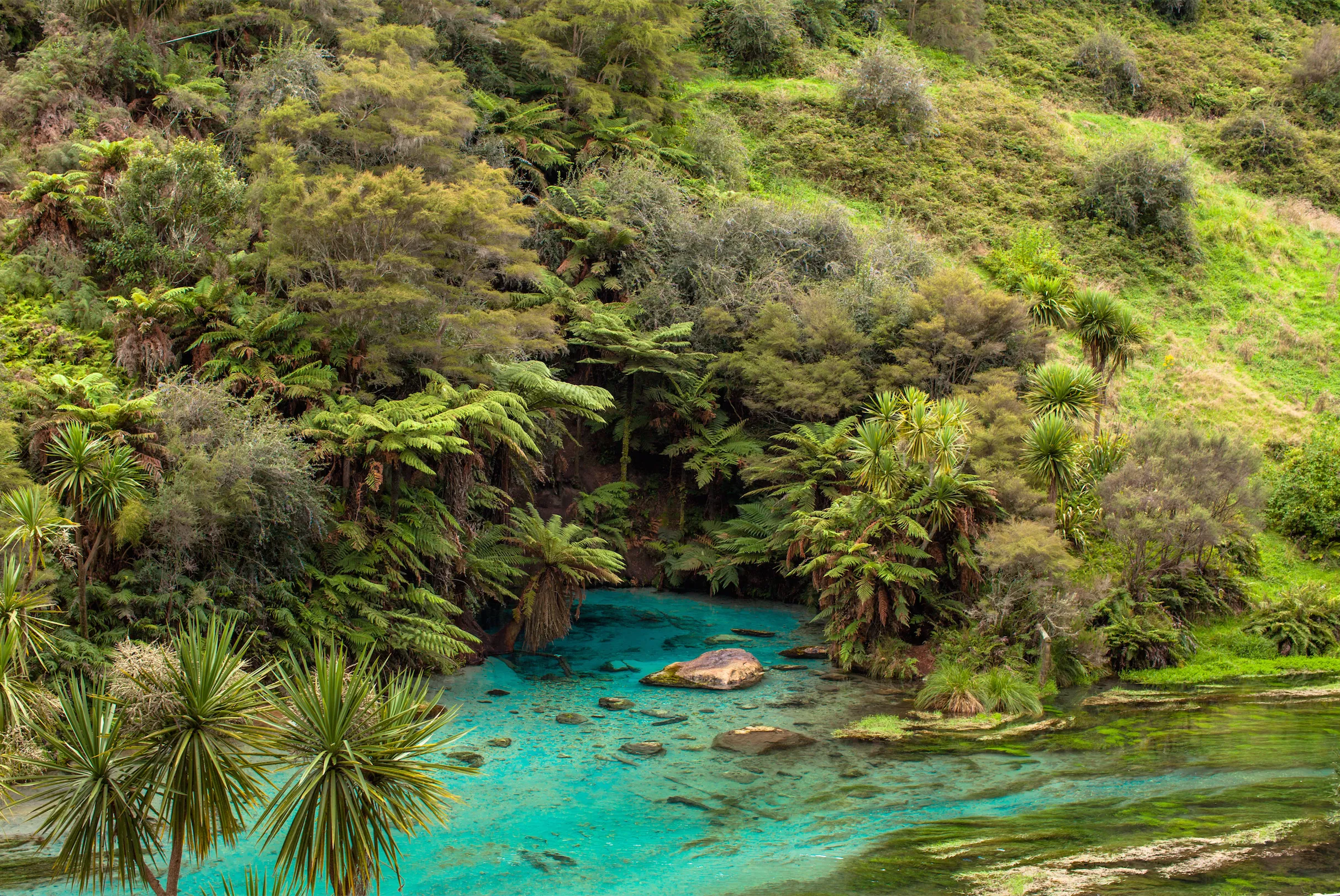 Hike to Te Waihou Springs