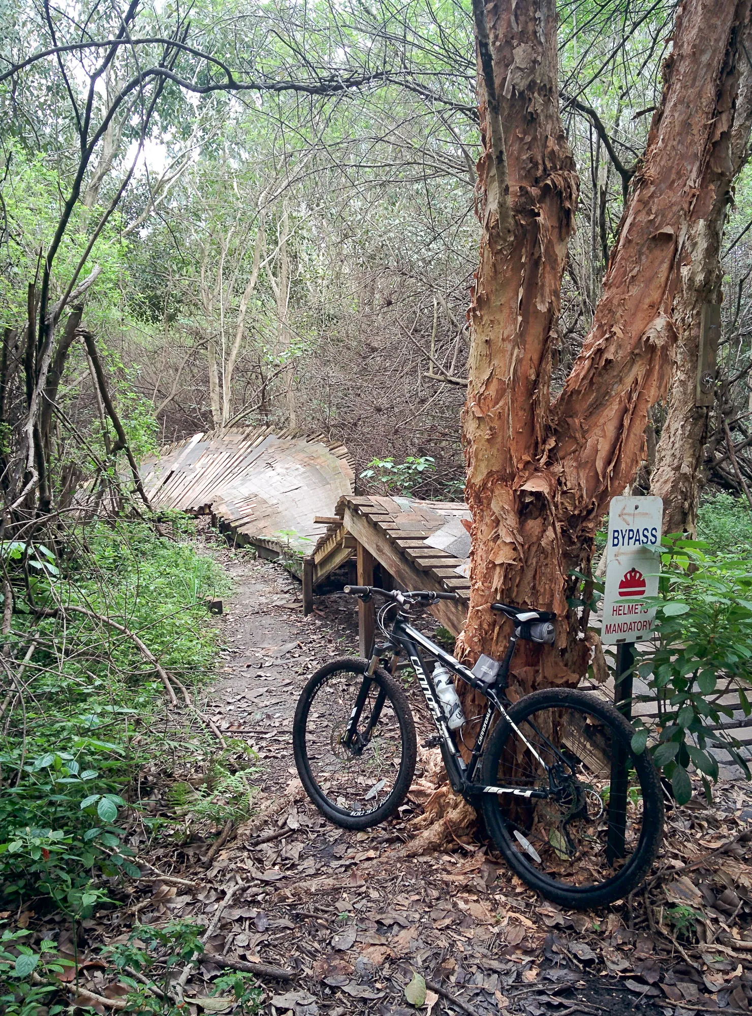 Mountain Bike at Markham Park