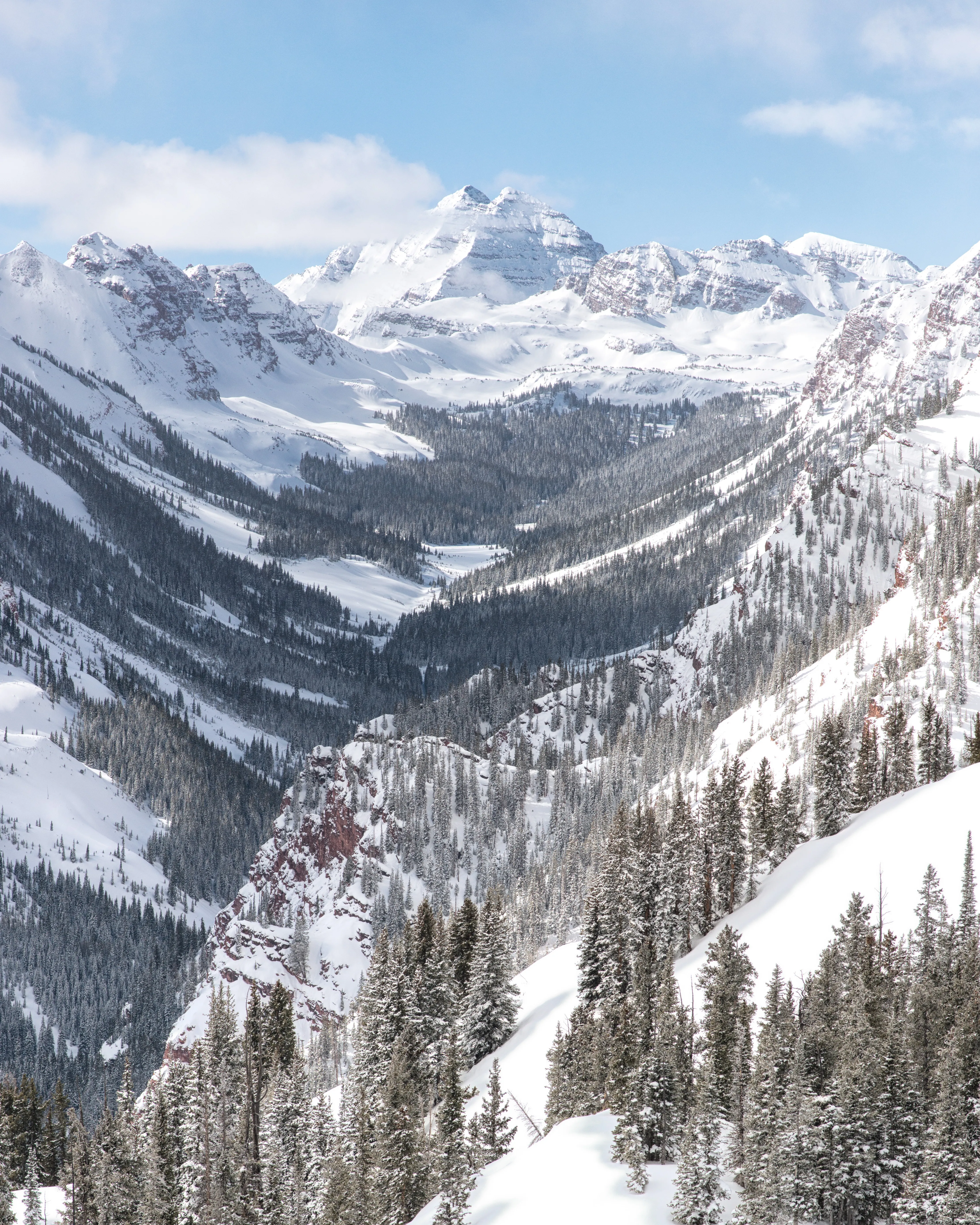 Ski or Snowboard the Burnt Mountain Glades of Snowmass