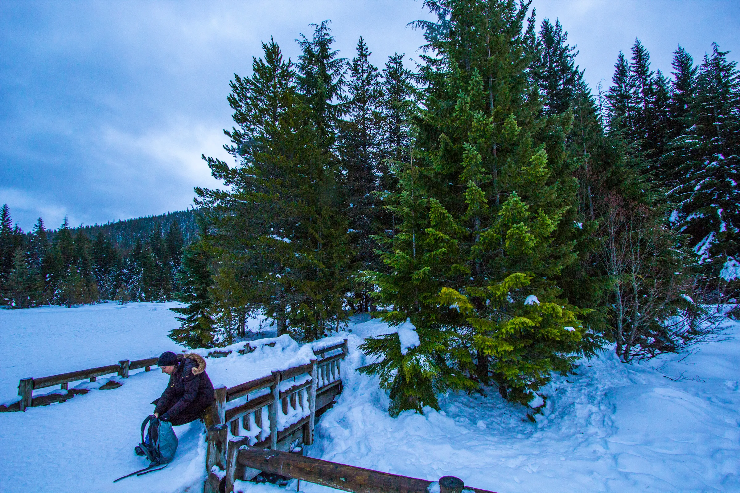 Snowshoe or Cross-Country Ski to Trillium Lake